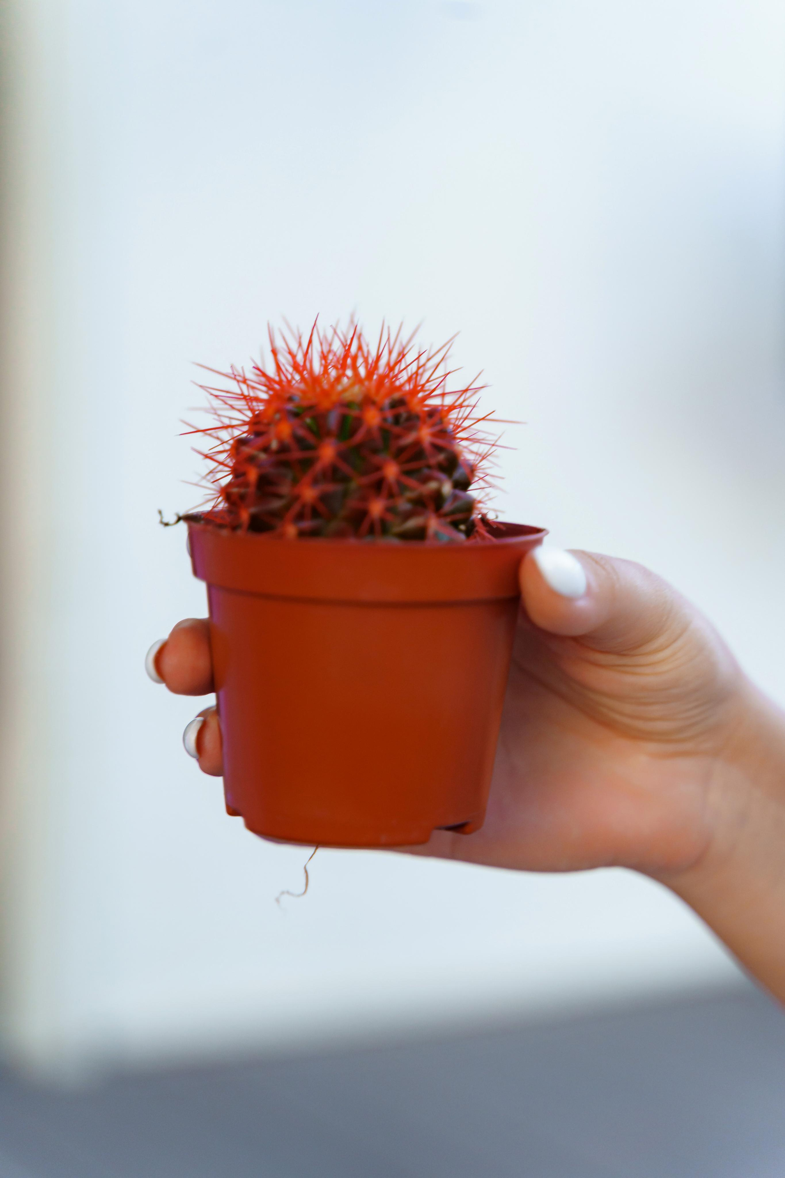 Свадебная фотосессия в отеле Crowne Plaza Moscow — World Trade Centre