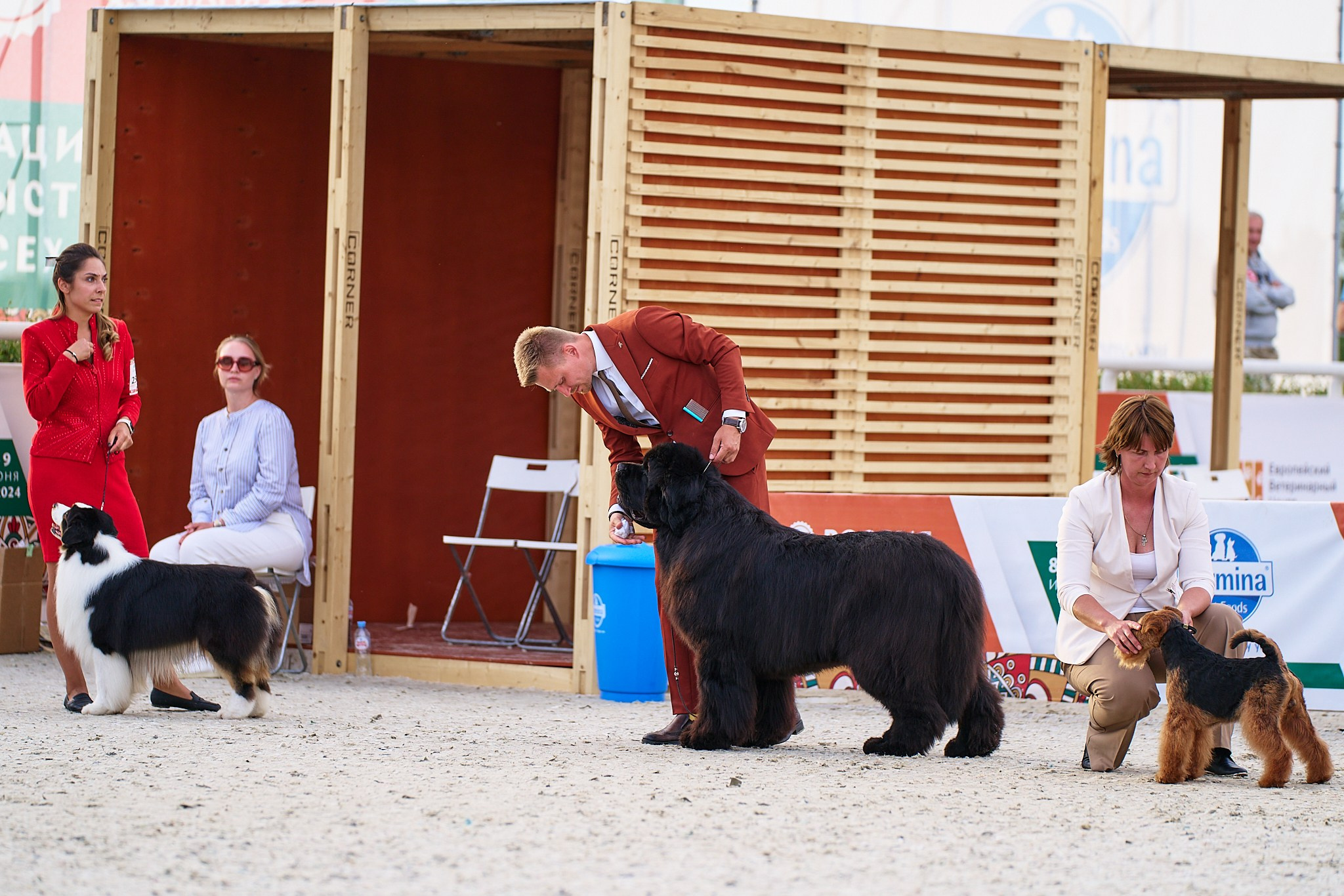 09.06.2024, «РОССИЯ. КУБОК МОСКВЫ 2024 & КУБОК ГОРОДОВ-ГЕРОЕВ»