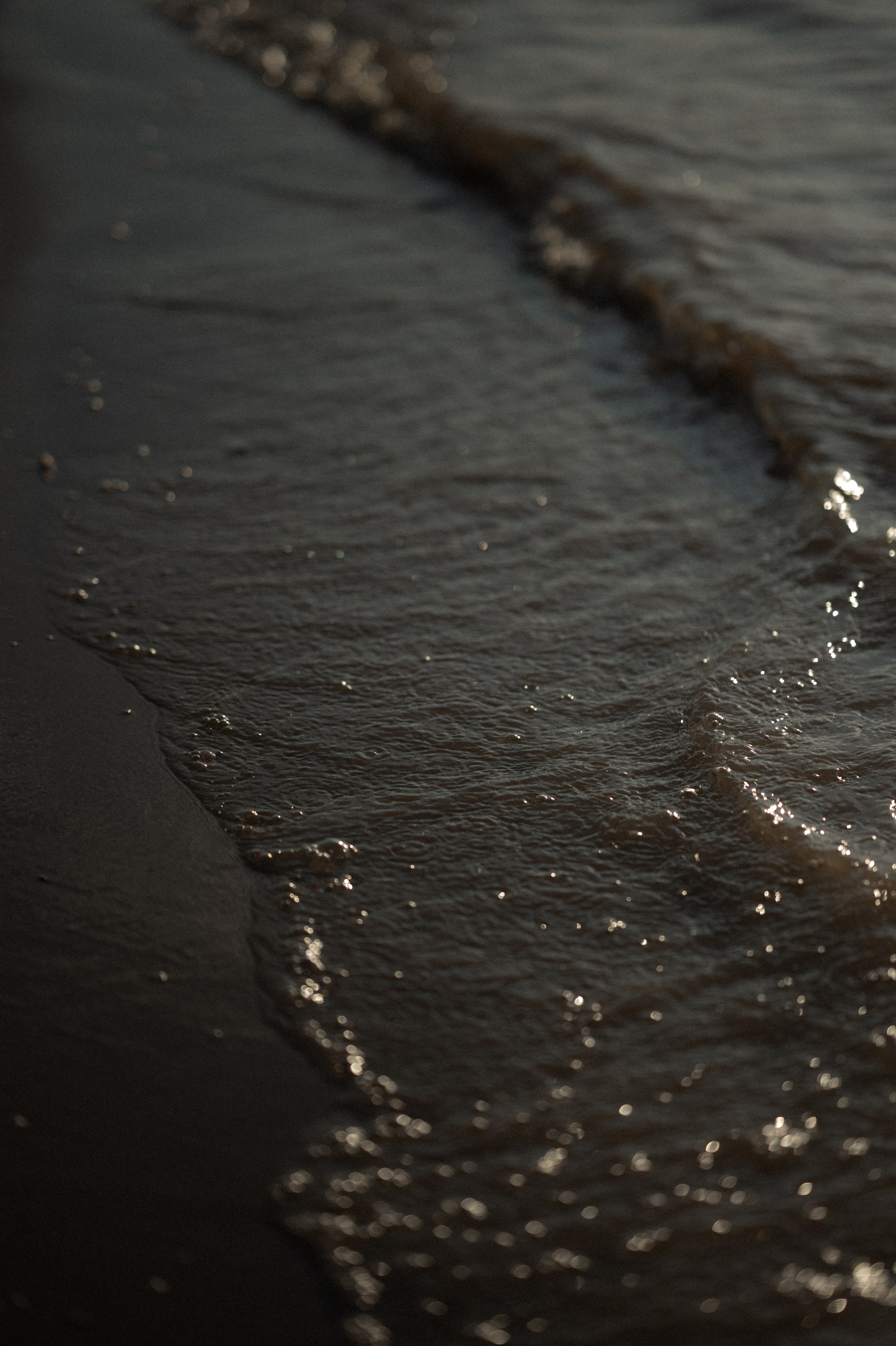 Дарина, Андрей, Пашуля. Www.ostermiller.ru