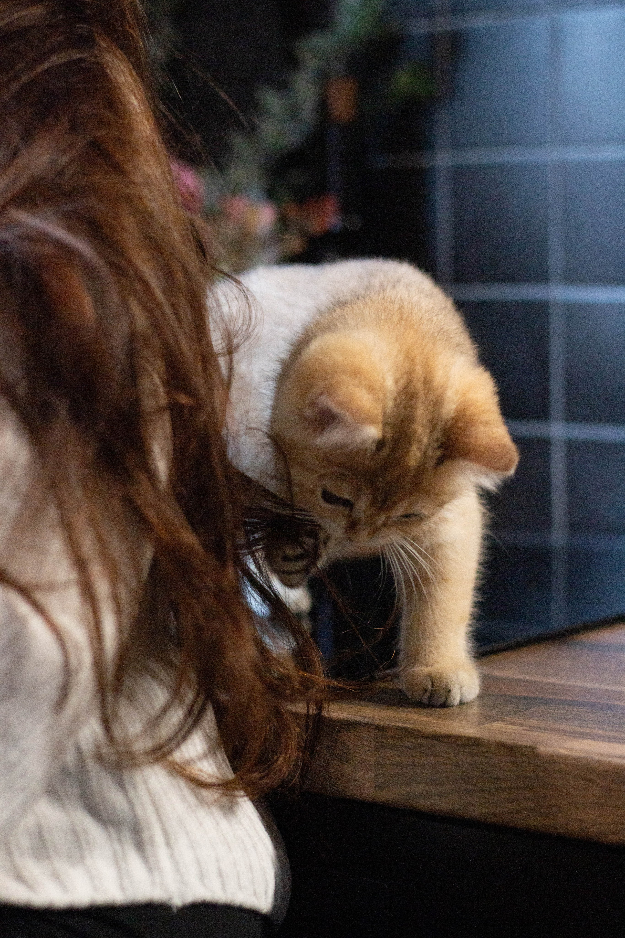 MILANA & RUFUS. Бережно сохраняю ваши чувства и истории на своих фотографиях