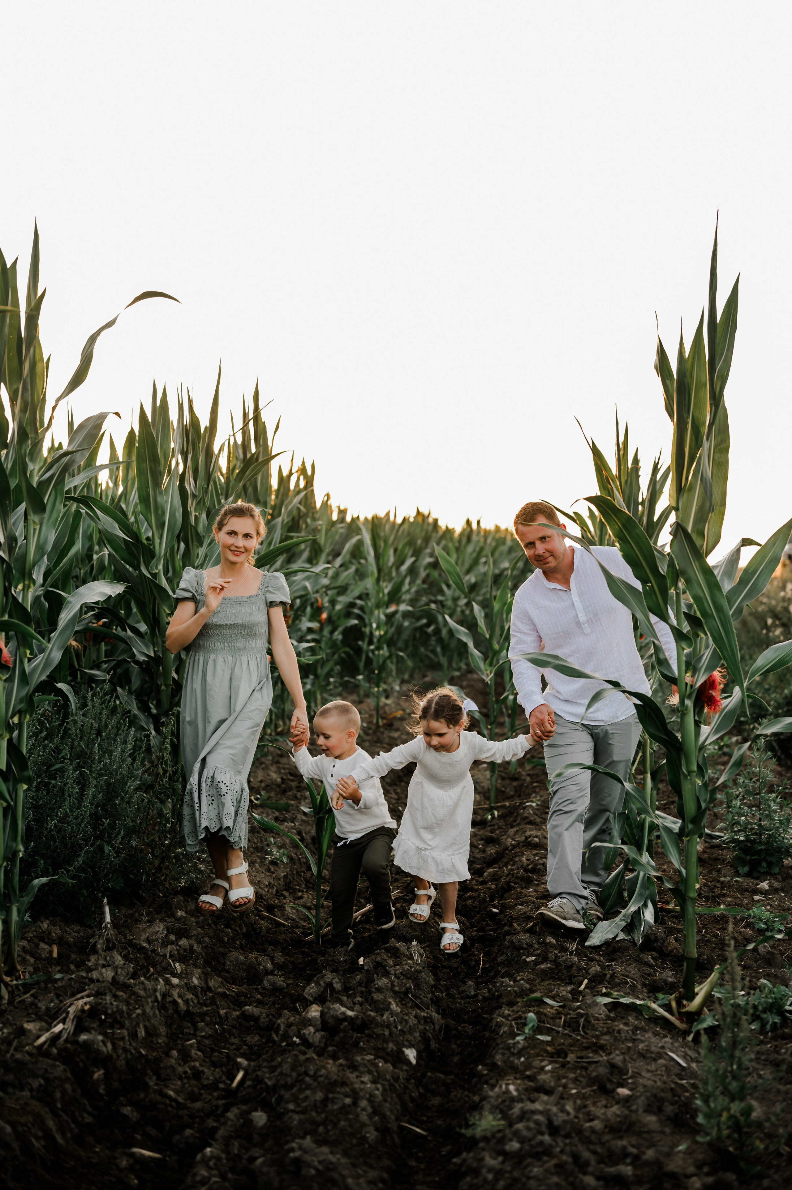 Кукуруза+сено, семейная фотосессия. Свадебный и семейный фотограф Евгения Кононова