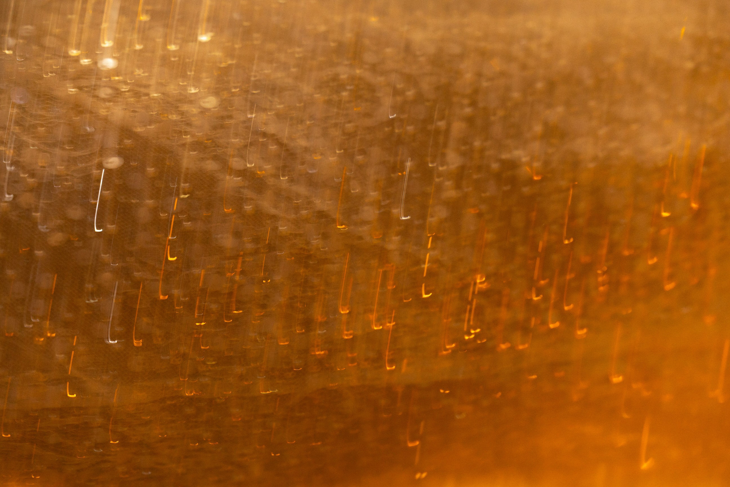 Анна & Андрей. Yura Rush Свадебный фотограф Тюмень