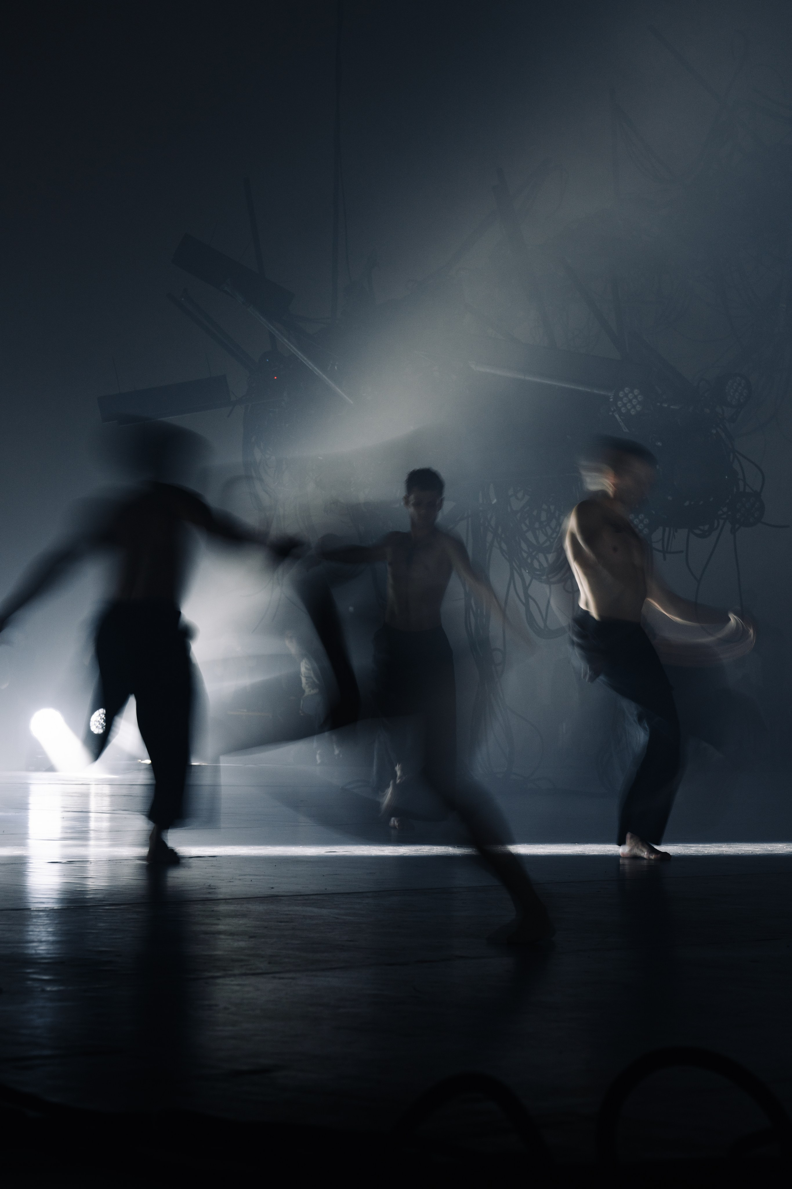 PERFORMA, The Hour of the Horse. @tomrus: Рустам Шагиморданов — фотограф