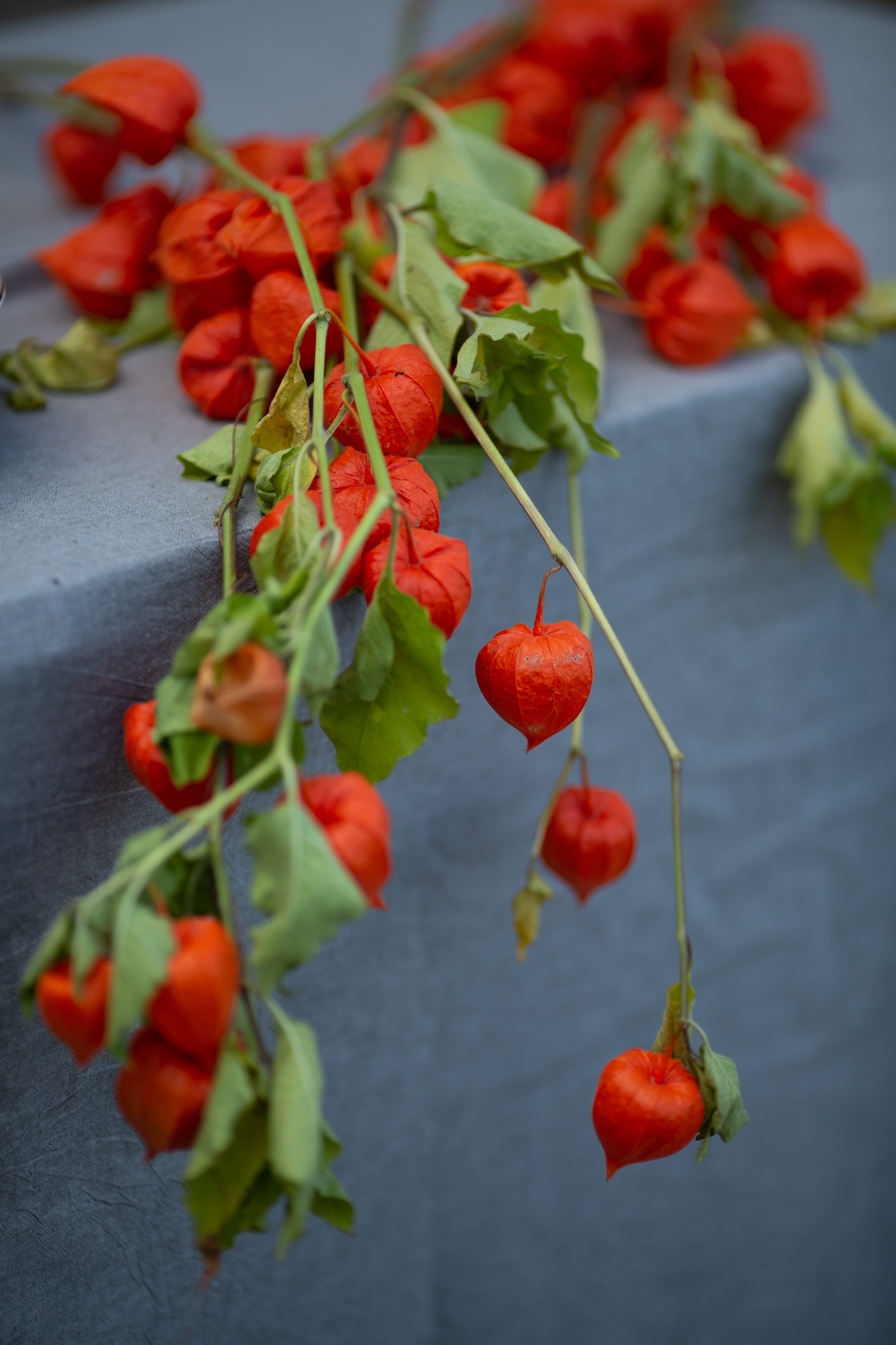 GARAGE-sale ЗАОКСКИЙ (30 сентября 2023 года). Фотограф Наталья Угрюмова, г. Москва