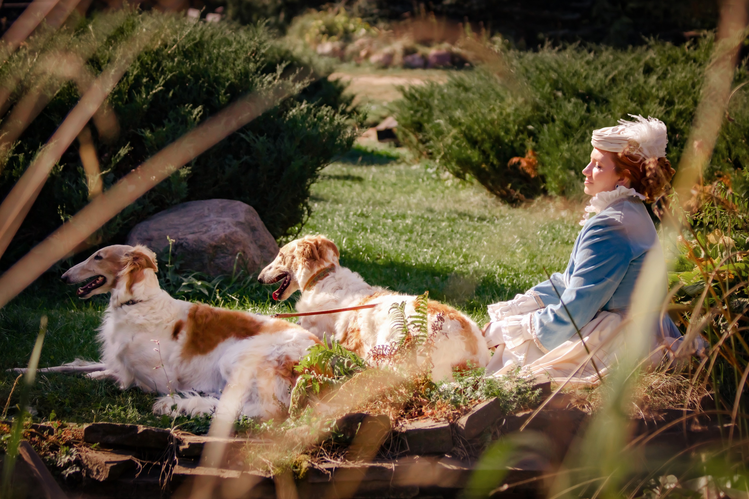 Фотосессия в Аванпост. Фотограф анималист — Тула, Москва