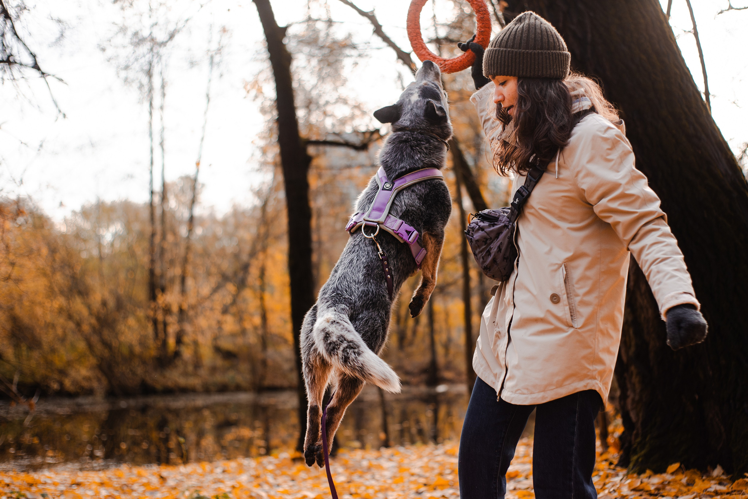 Юля, Антон и Лу. Фотограф-анималист Мария Баркевич | Москва