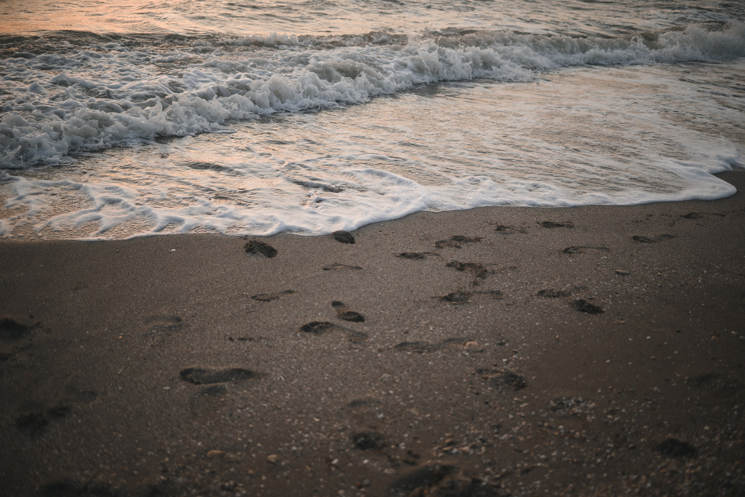 Коса (Крым). Свадебный фотограф в Крыму Алексей Лобач