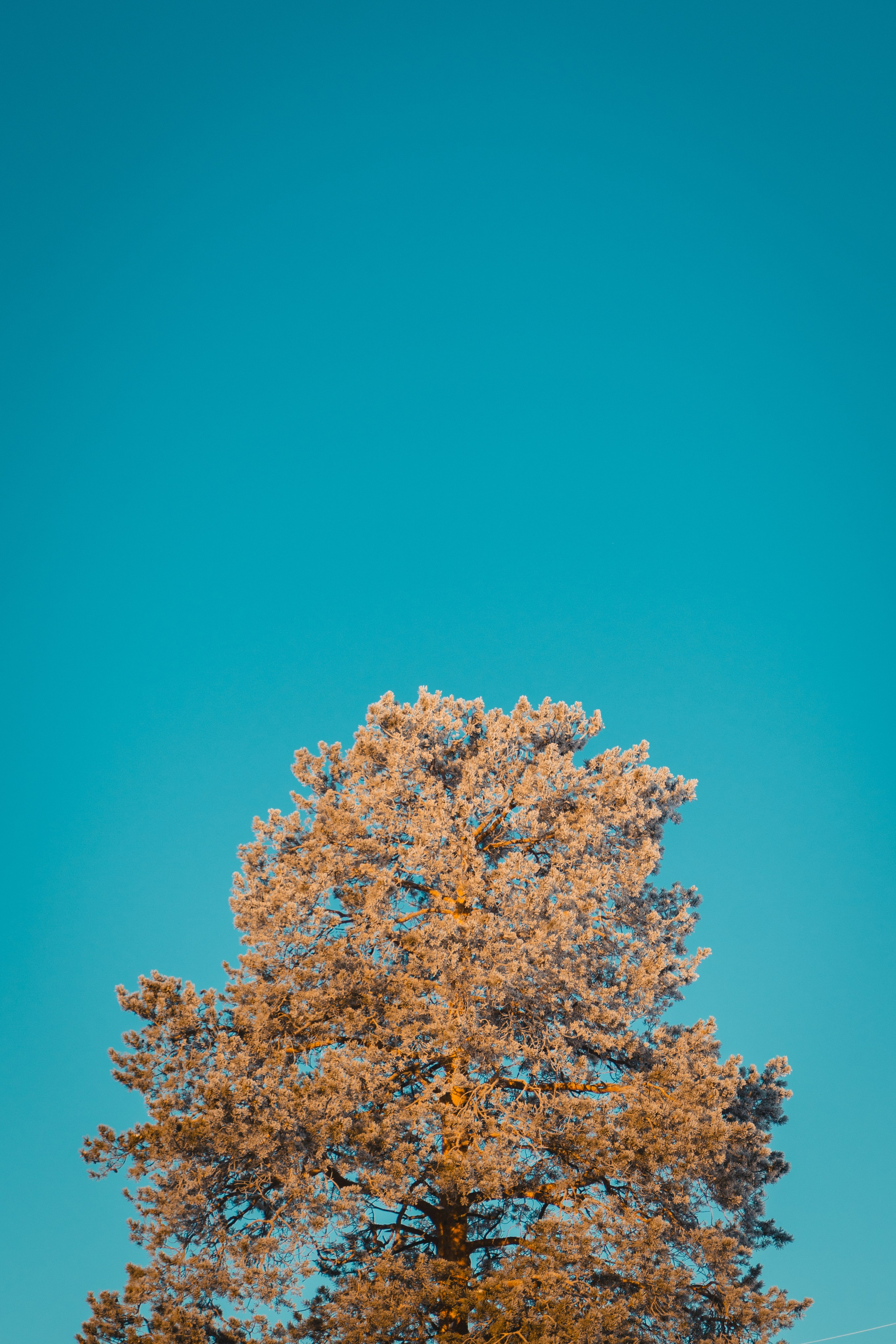 Губкинский и Когалым, Март 2024