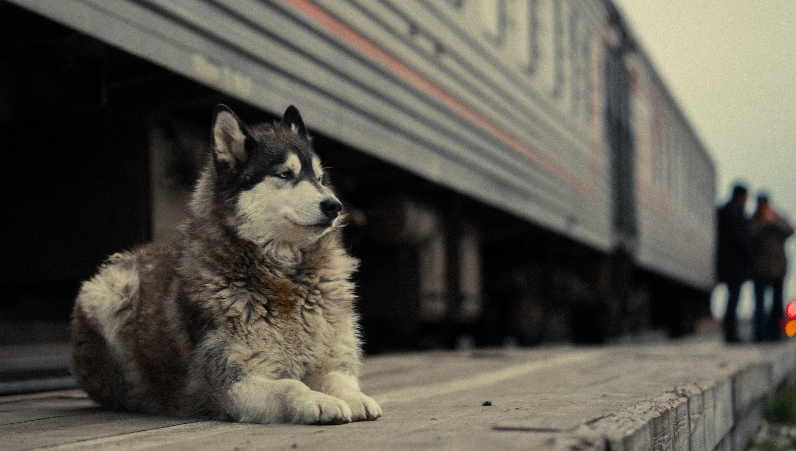 Уральские горы, Октябрь 2024