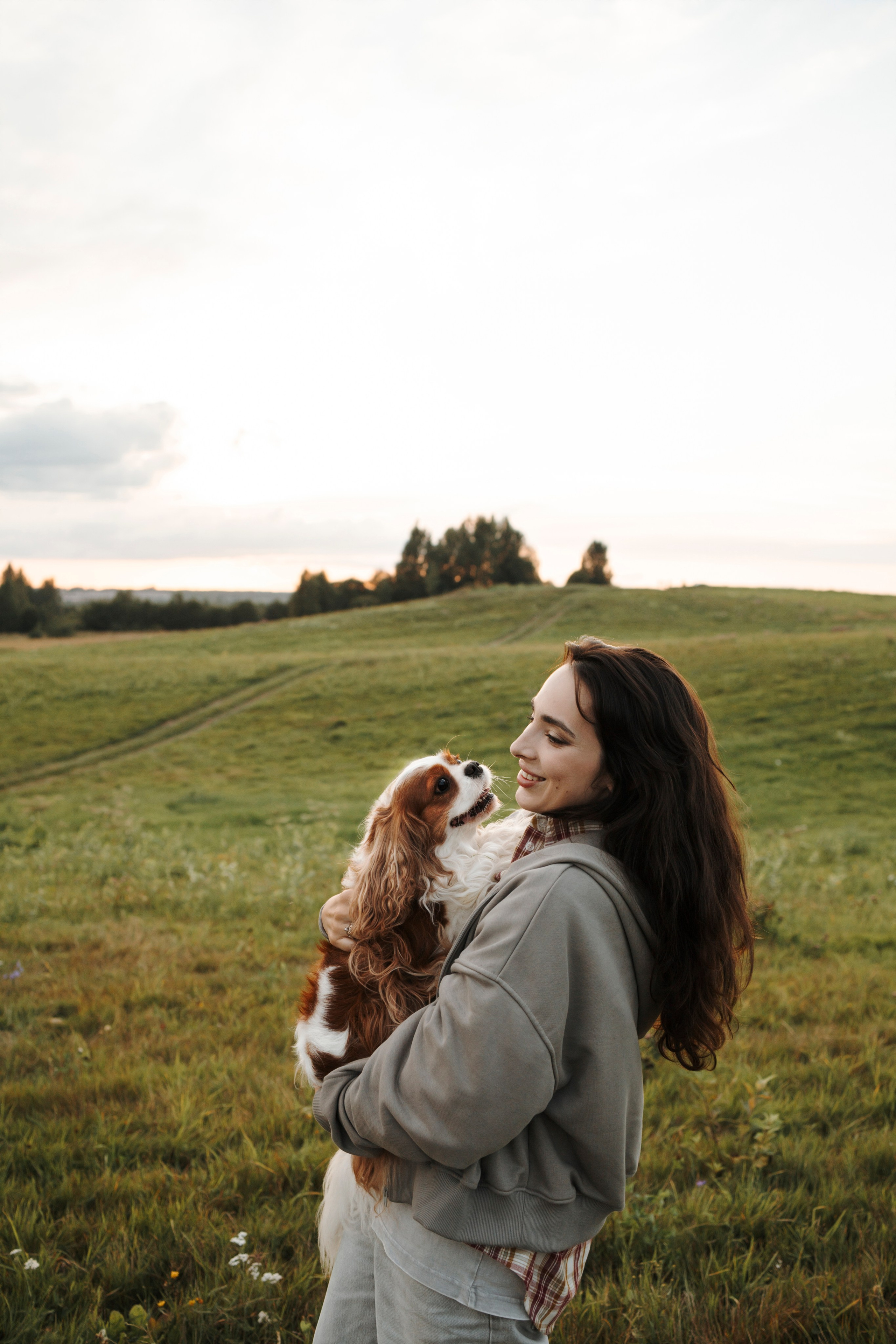 На закате Катерина, Луна и Рикки. Фотограф-анималист в Санкт-Петеребурге Титова Алиса