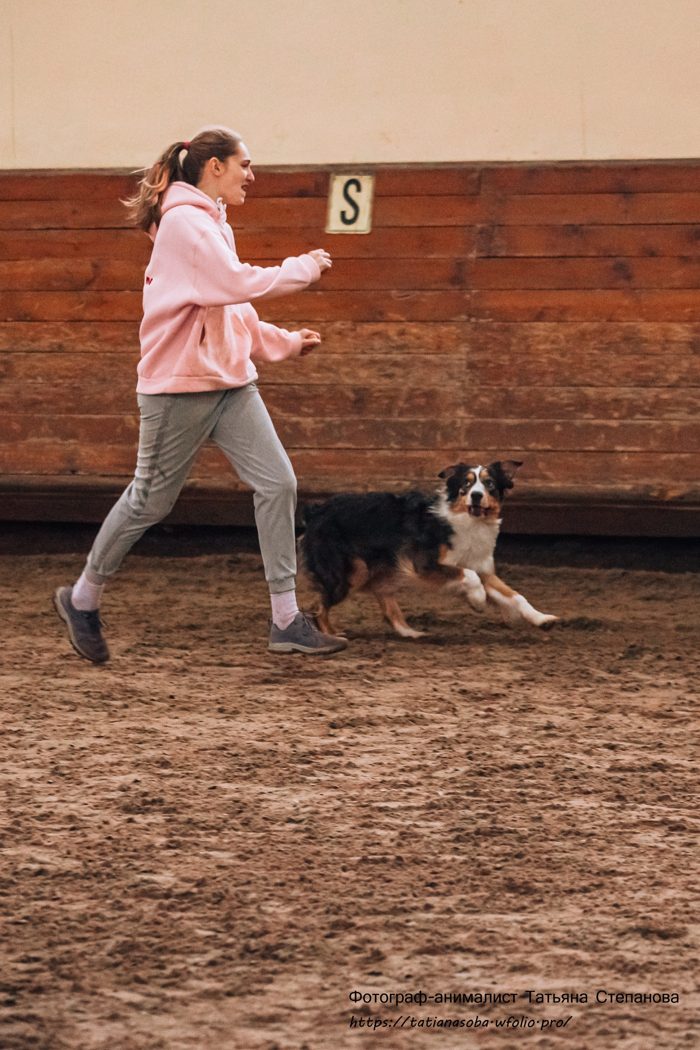 Соревнования по Аджилити 25.02.2024. Фотограф-анималист Татьяна Степанова