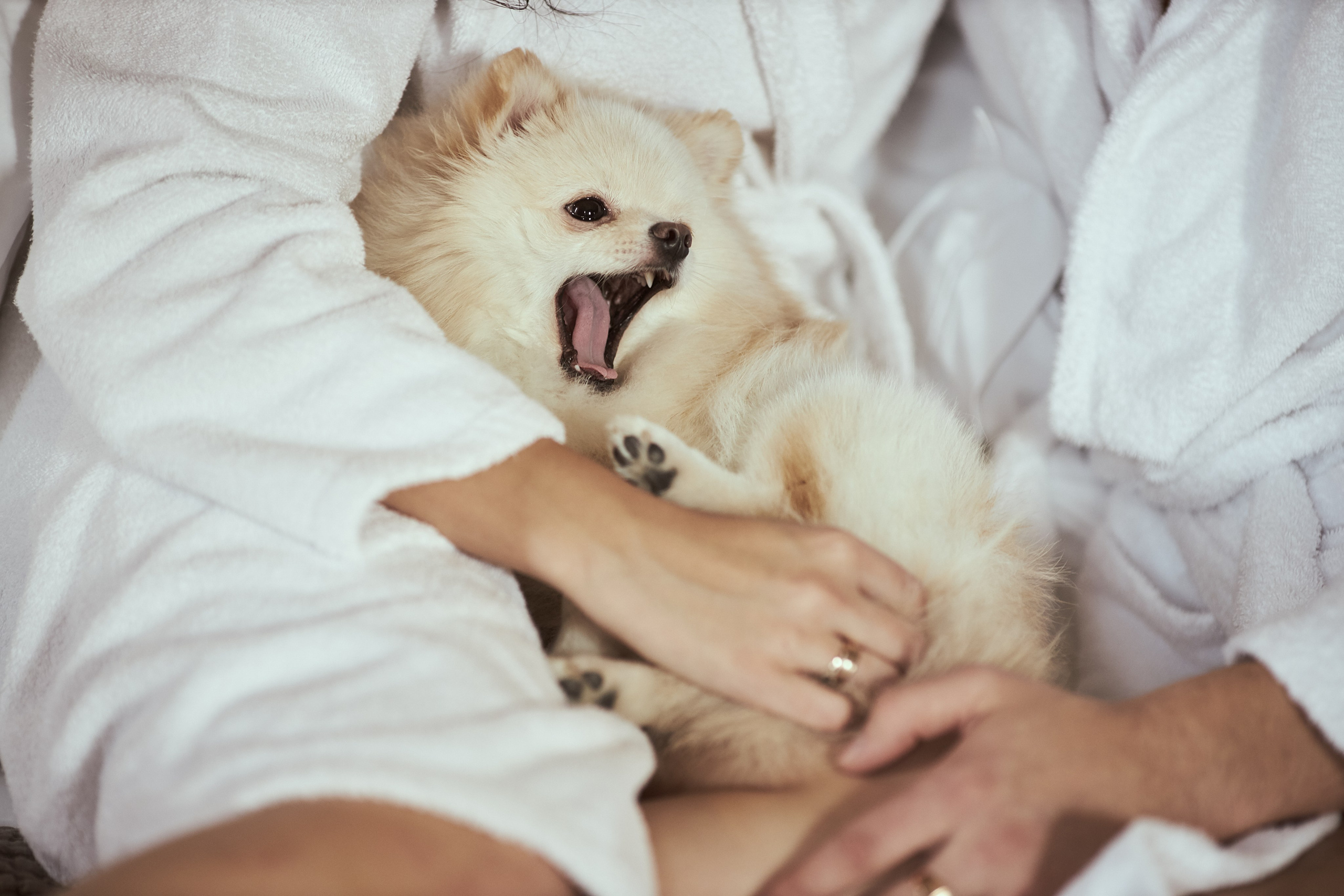 Свадьба замок БИП. Фотограф в Санкт-Петербурге Знаменская Ирина