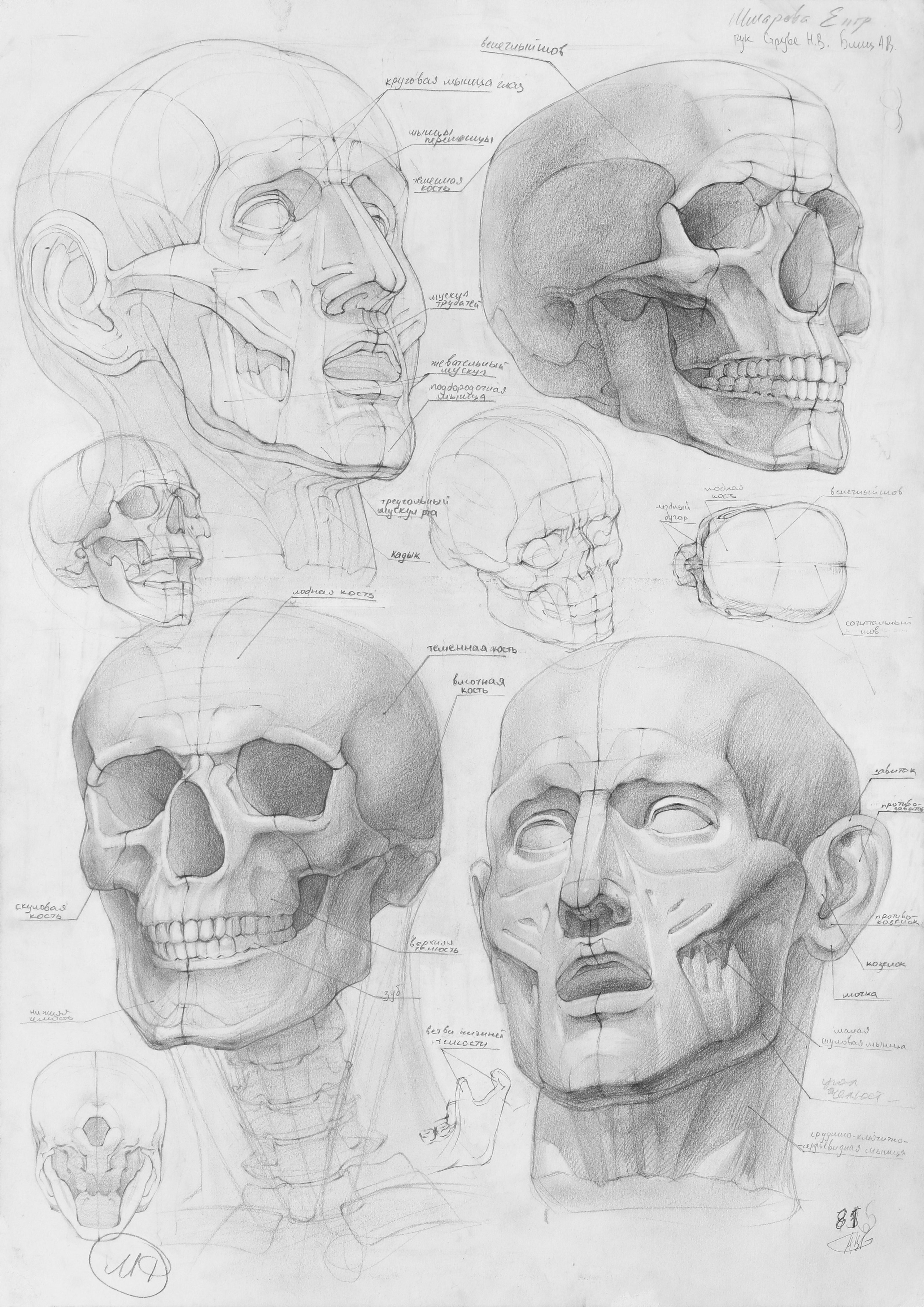 Работы студентов. Главная