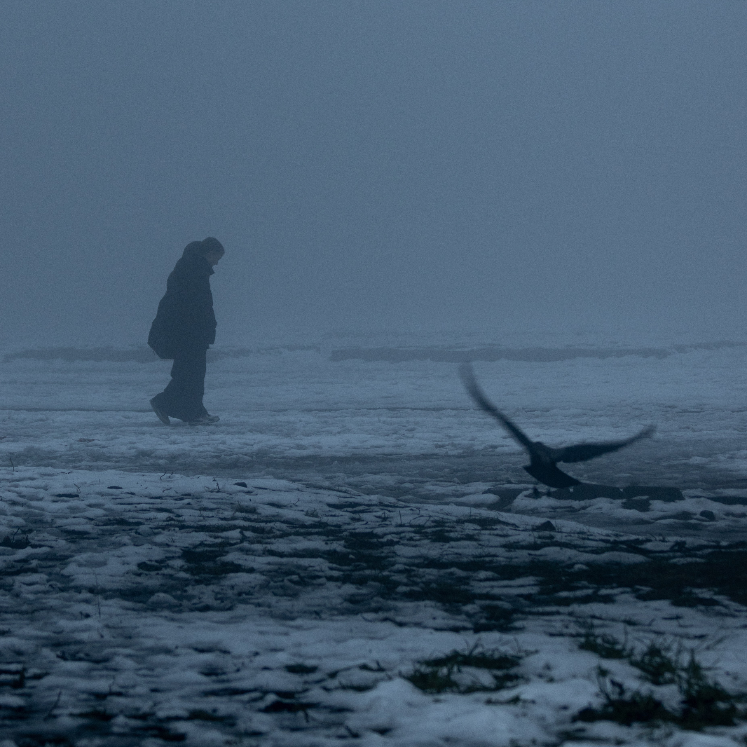 Т У М А Н. — Digital Noise —