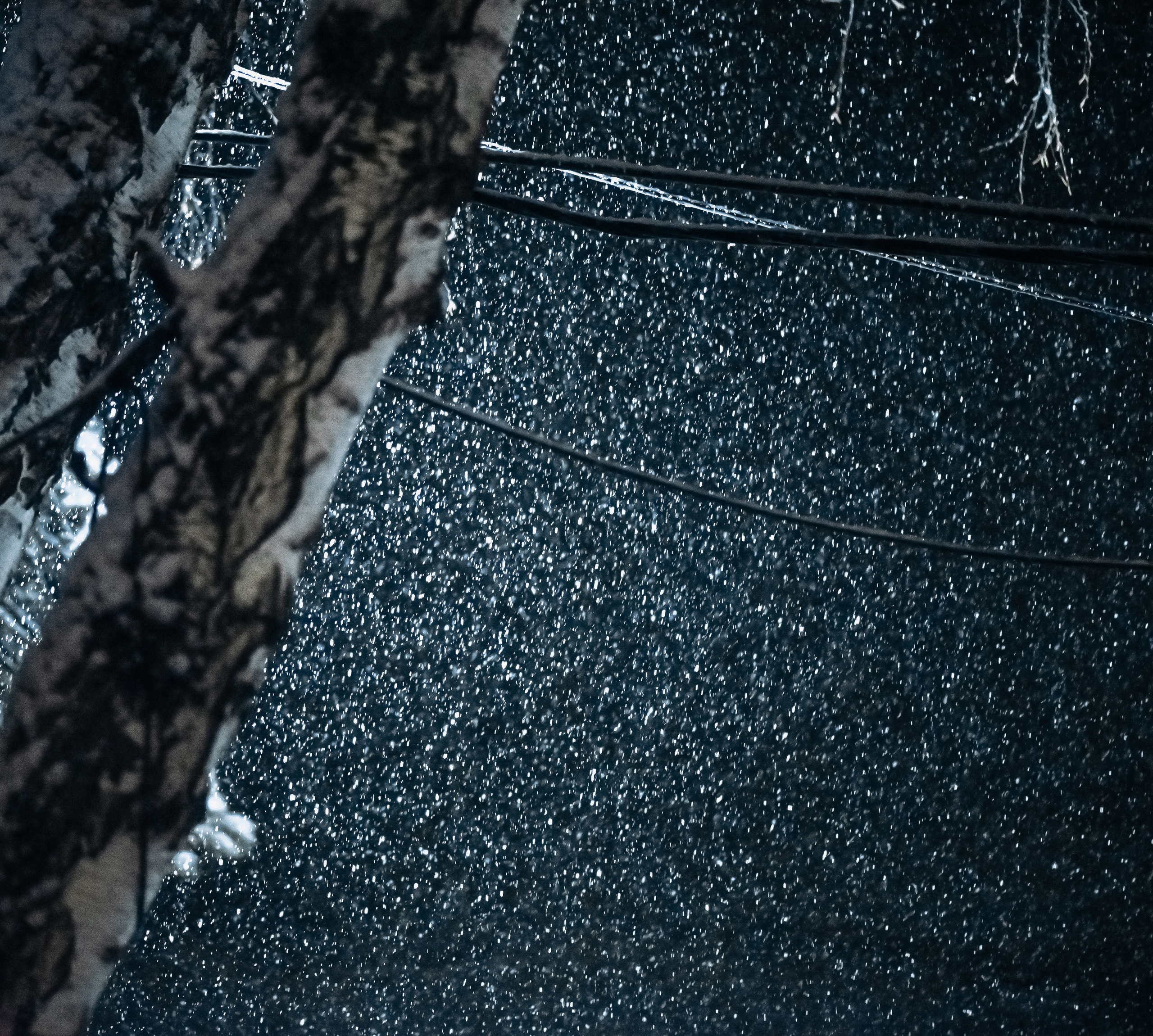 Юрий и Вероника. Свадебный и семейный фотограф в Новосибирске, Санкт-Петербурге, Москве