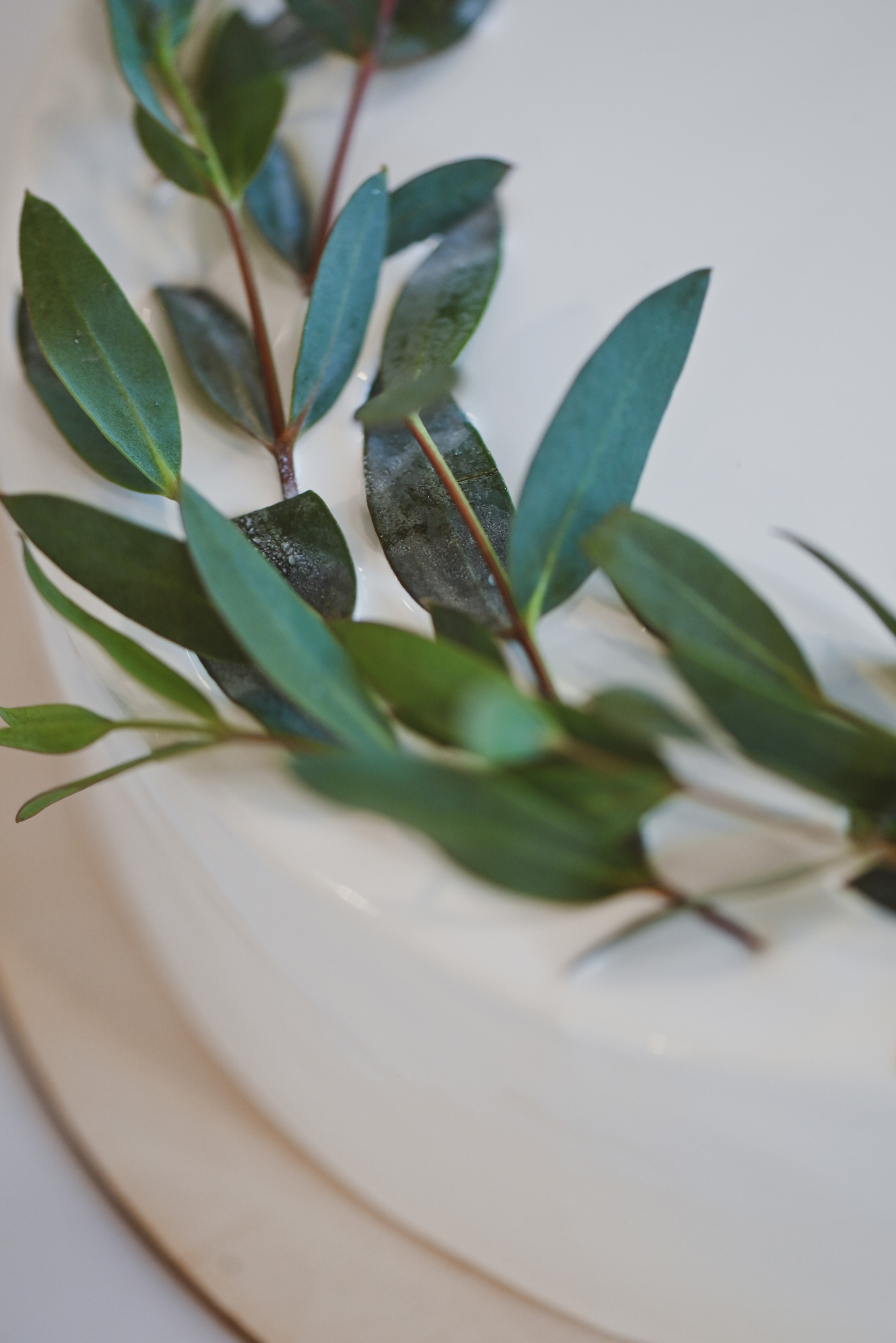 Золотое небо. Свадебный и семейный фотограф в Новосибирске, Санкт-Петербурге, Москве