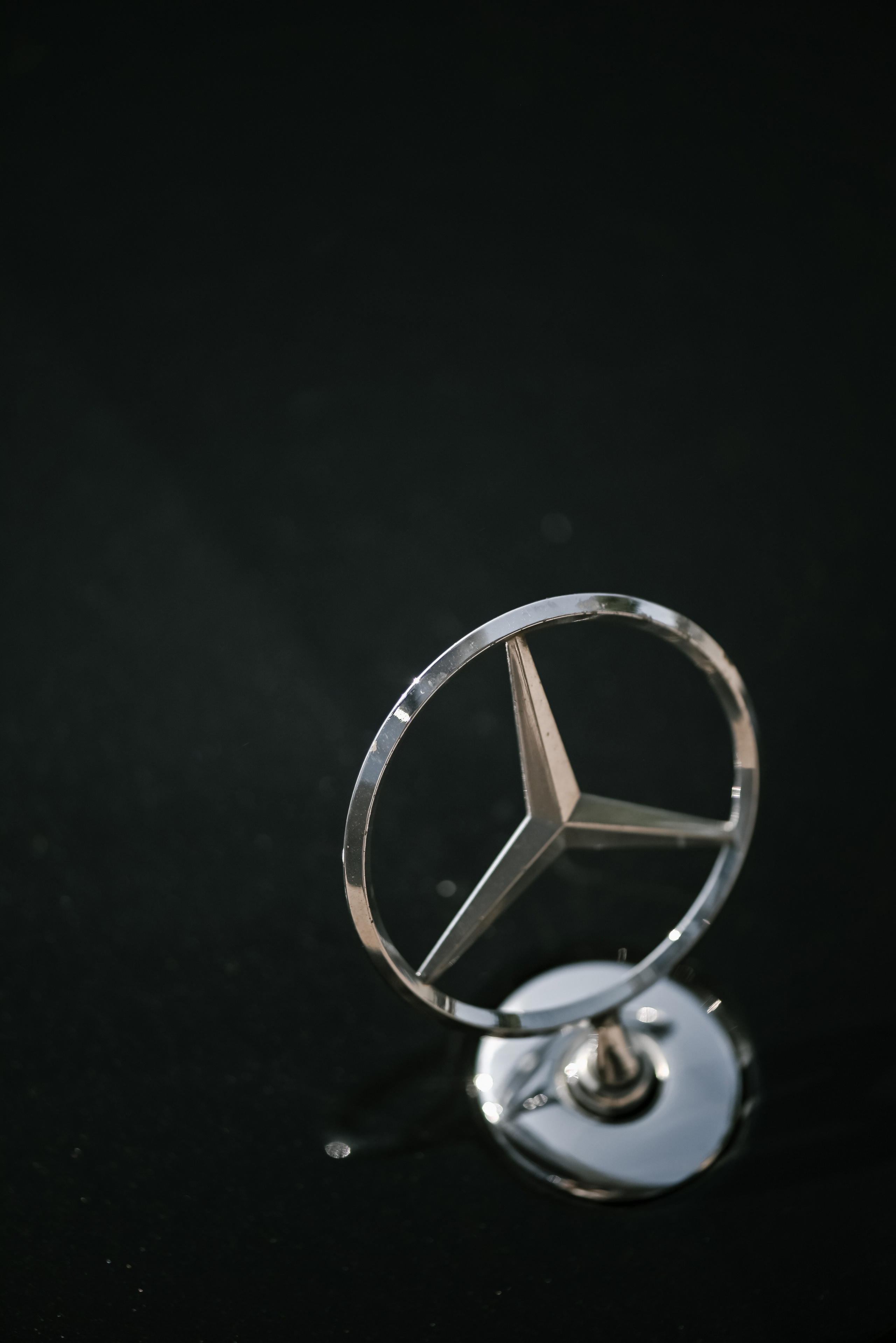 Золотое небо. Свадебный и семейный фотограф в Новосибирске, Санкт-Петербурге, Москве