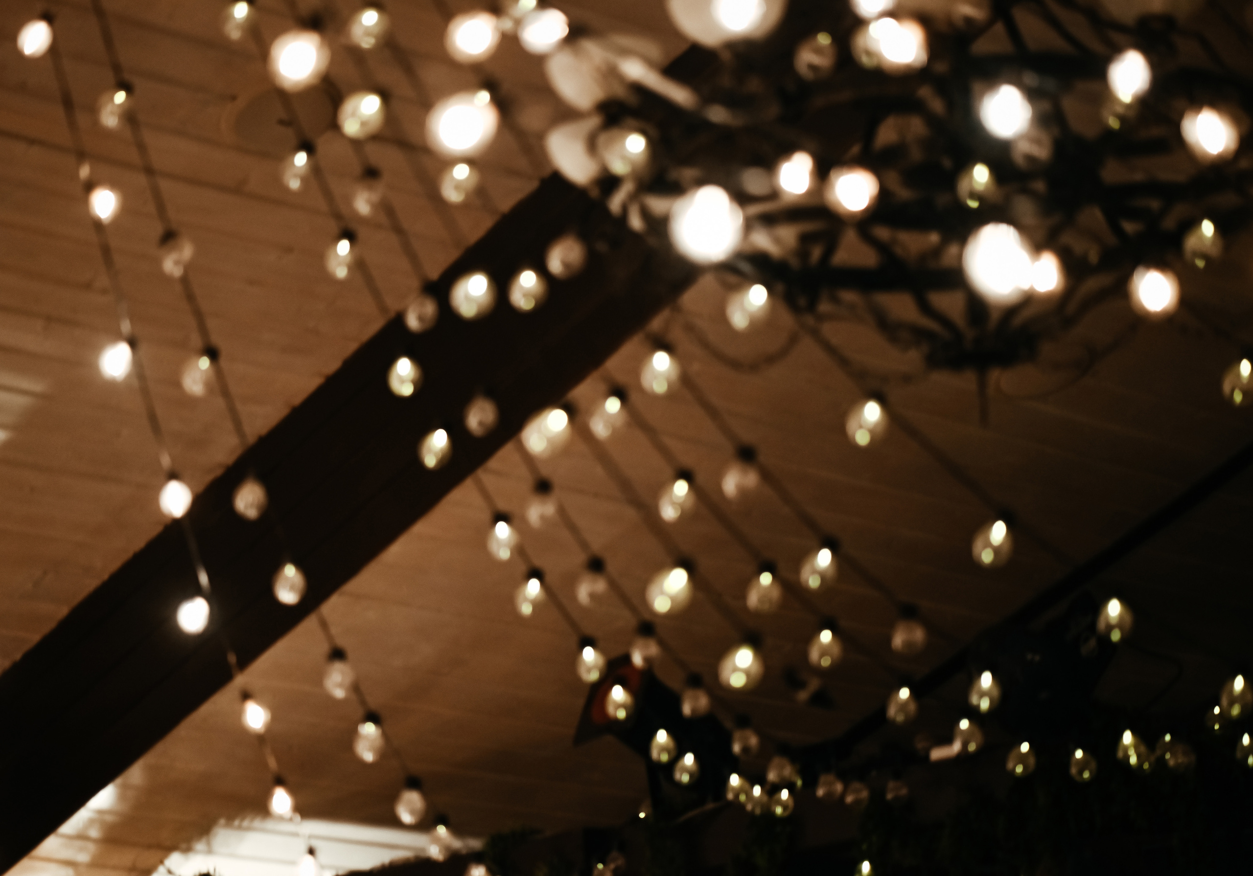 Юрий и Вероника. Свадебный и семейный фотограф в Новосибирске, Санкт-Петербурге, Москве