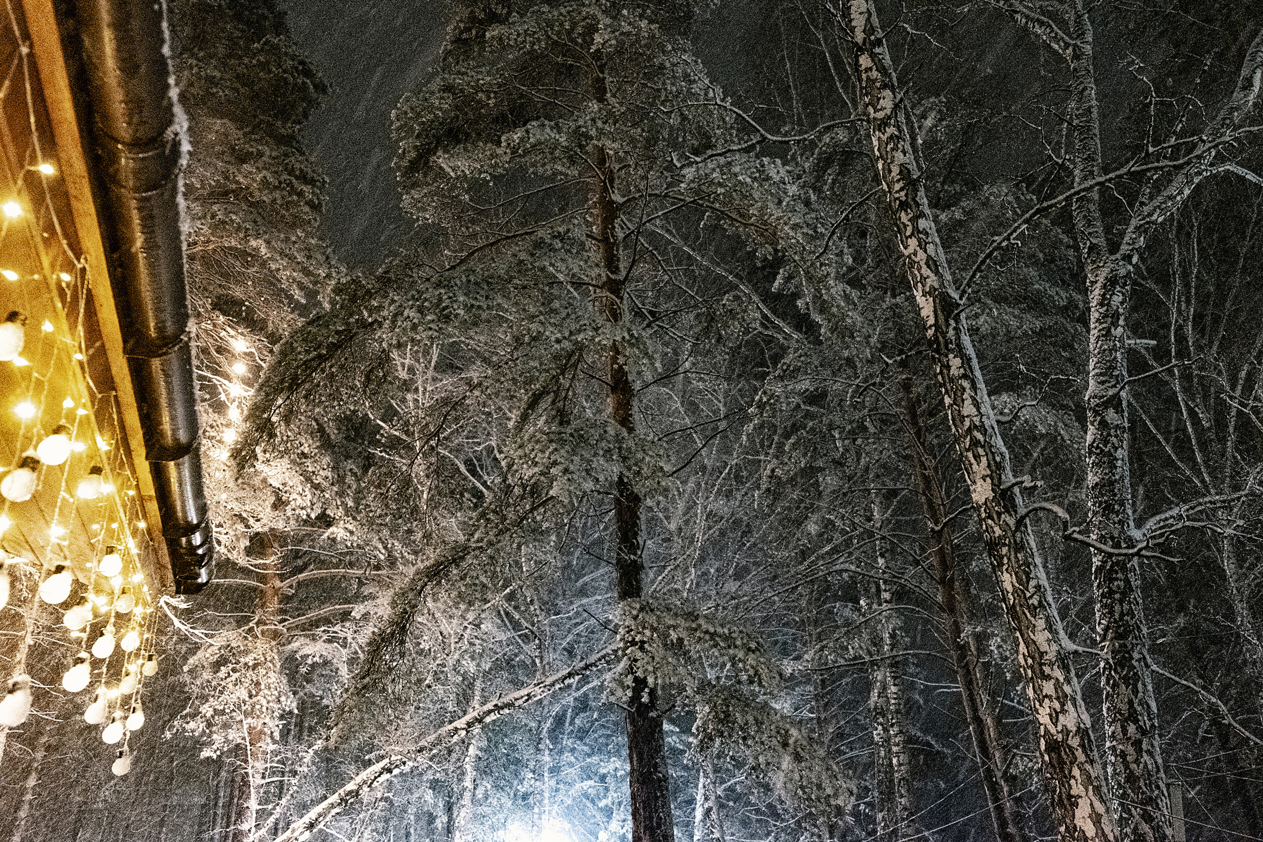 Юрий и Вероника. Свадебный и семейный фотограф в Новосибирске, Санкт-Петербурге, Москве