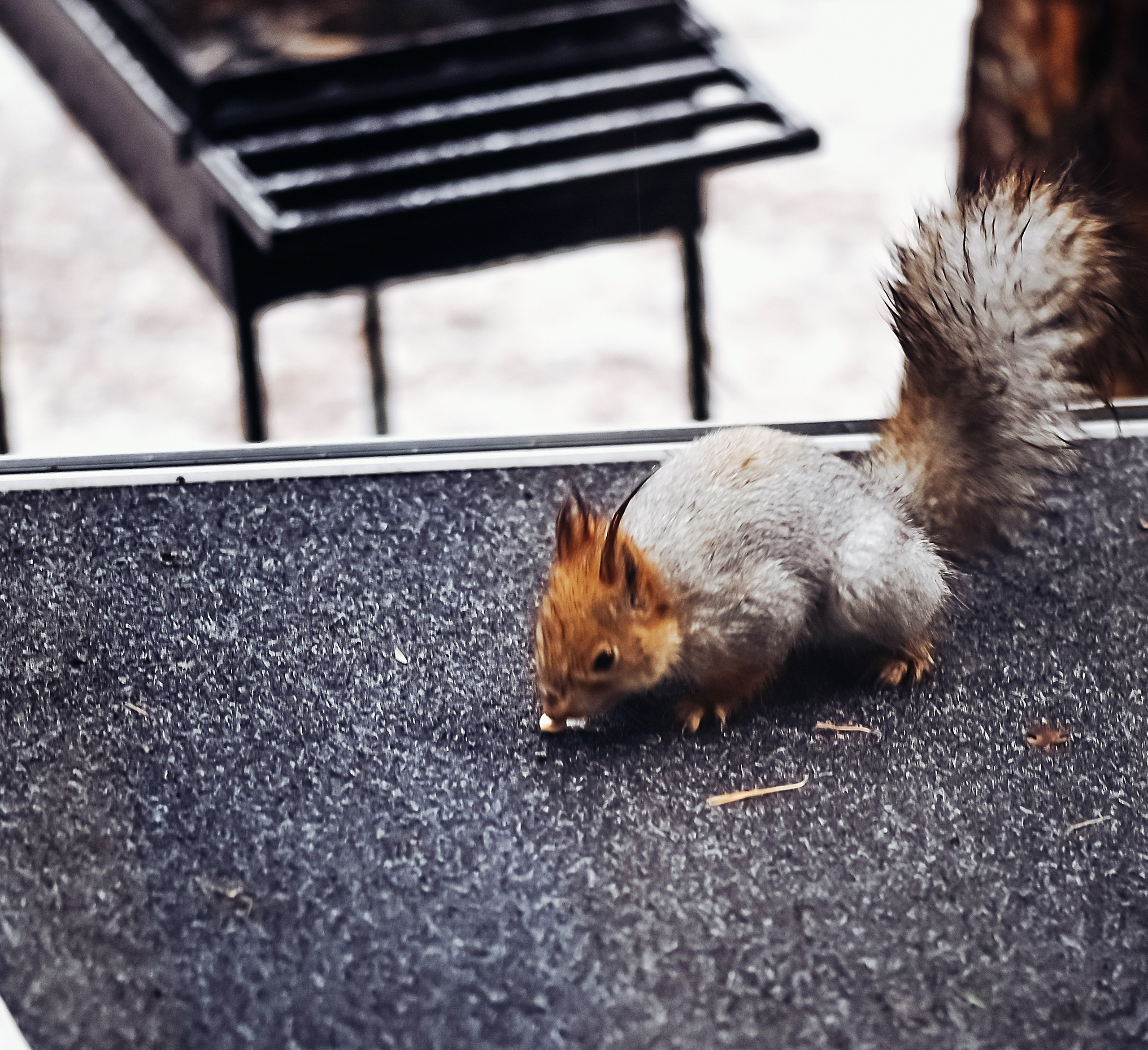 Юрий и Вероника. Свадебный и семейный фотограф в Новосибирске, Санкт-Петербурге, Москве