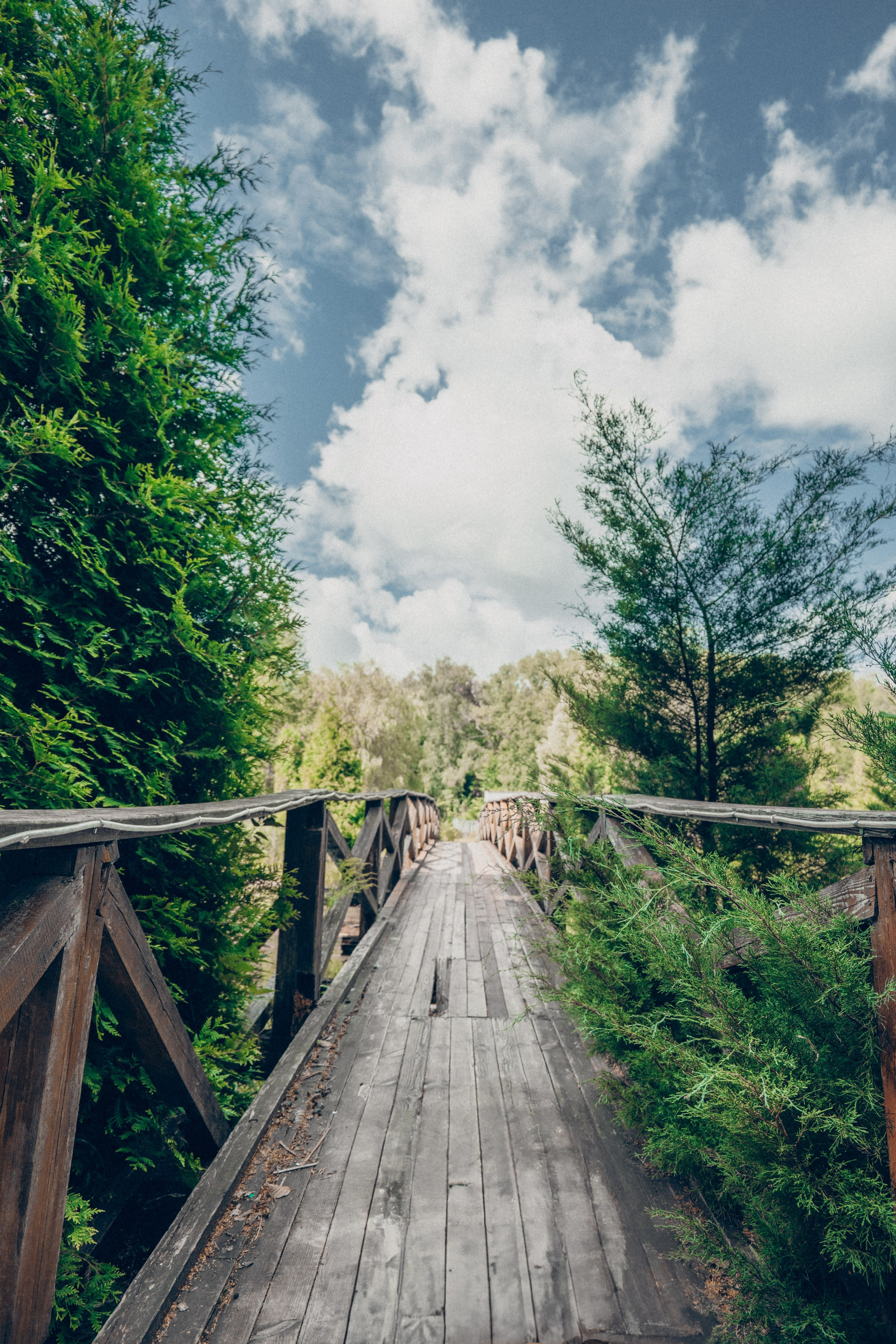 Прогулка в ботаническом саду