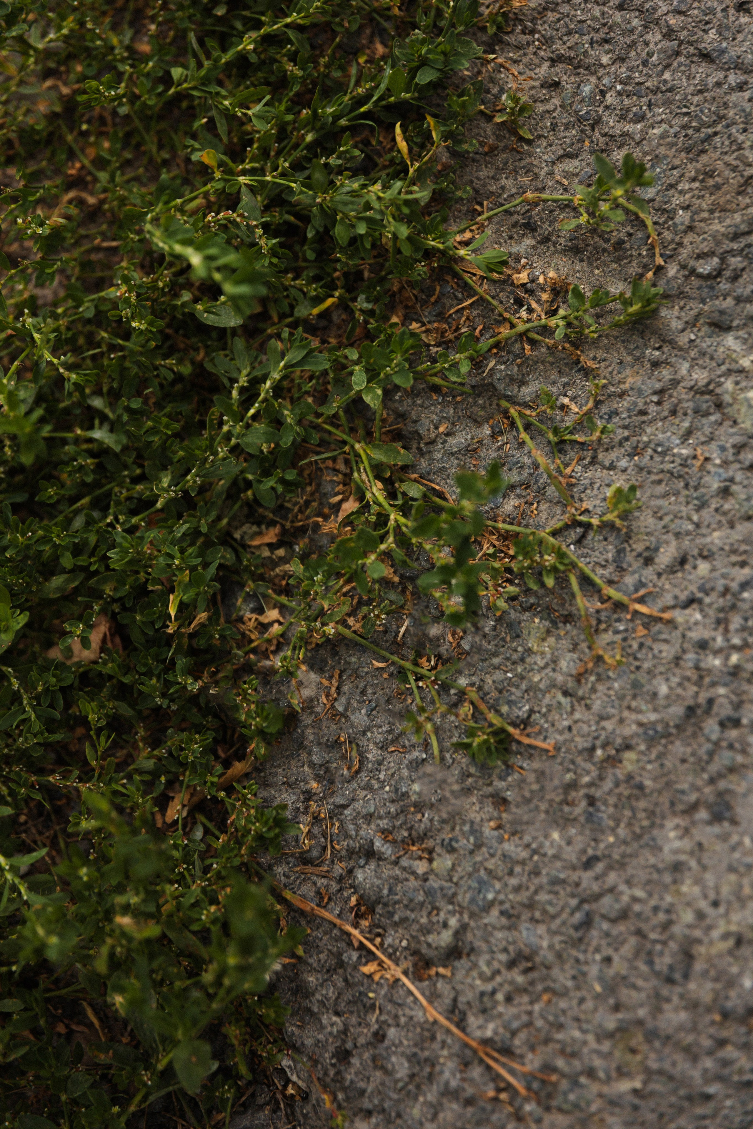 Виктор и Софья. Фотограф Тюмень Пушковская Кристина