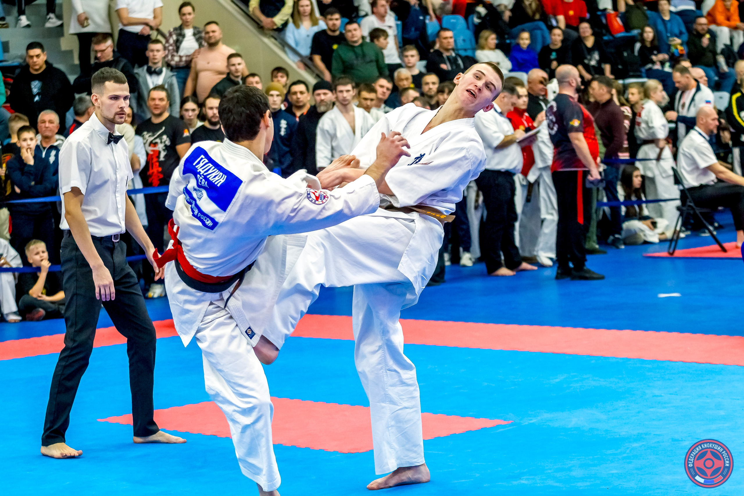 Международный турнир по киокушин «Открытый кубок Seiken». Репортажная съемка в Москве и области. Анималистика