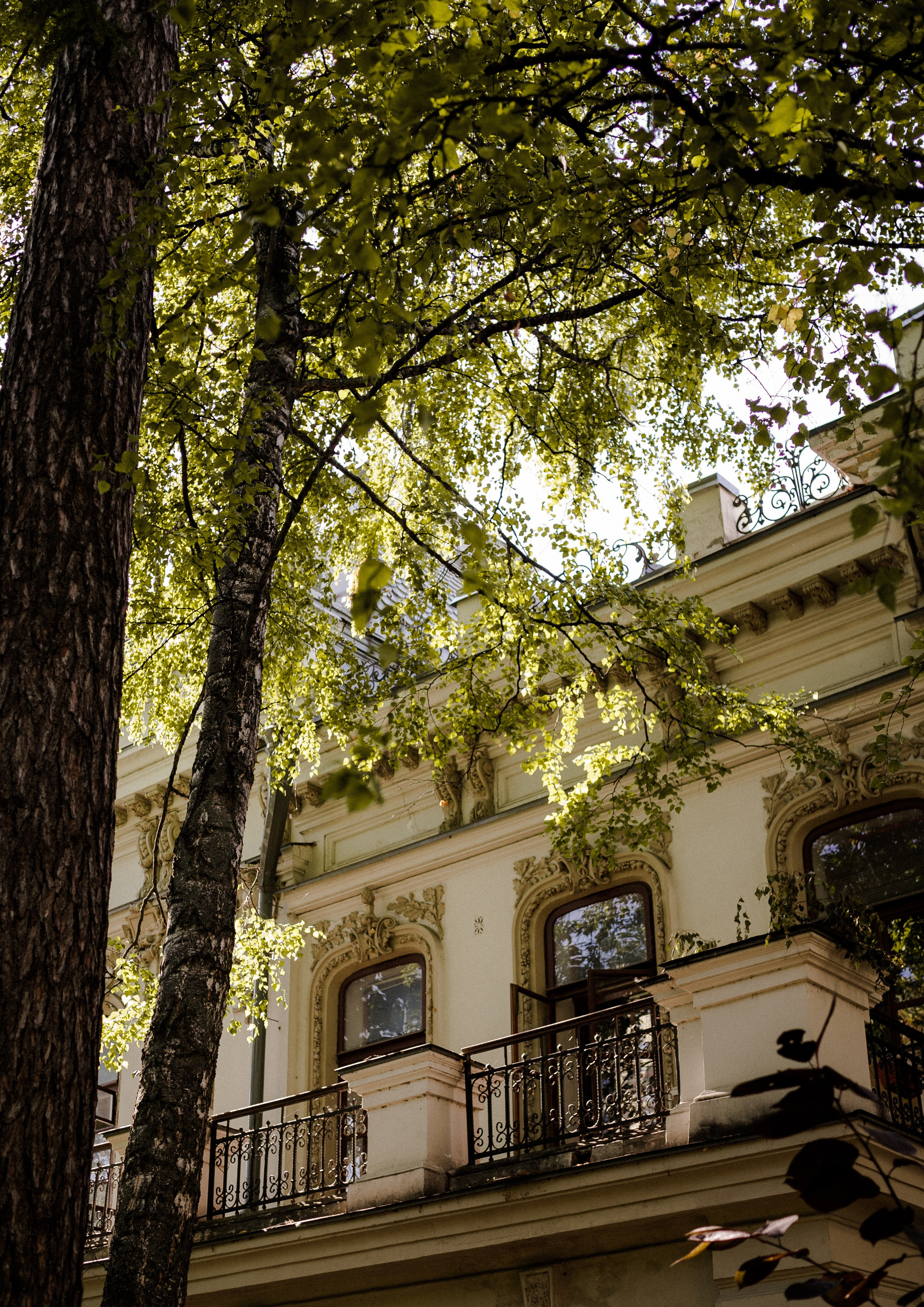 Wallpapers. Фотограф Казань