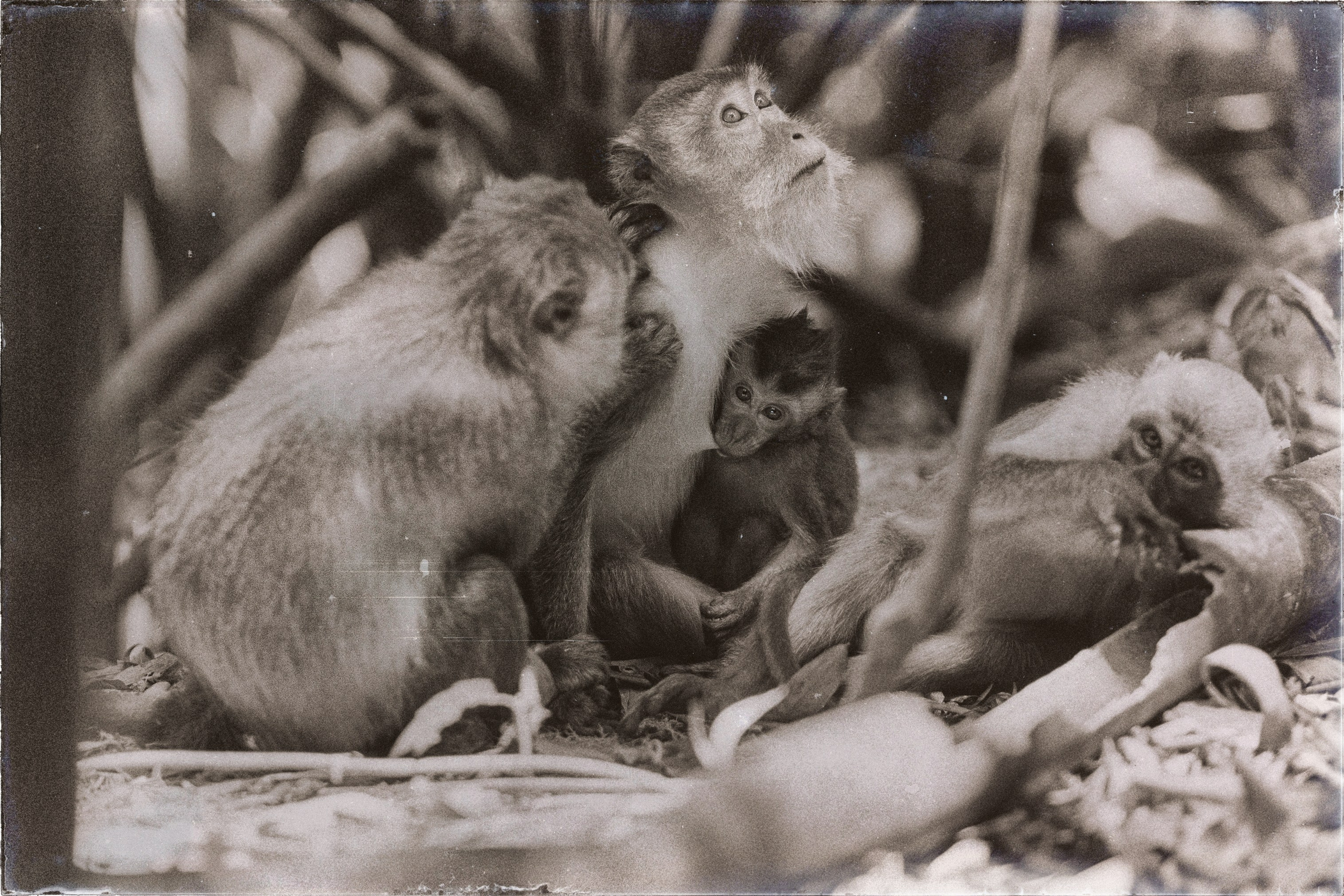Таиланд. Портретный и репортажный фотограф в Санкт-Петербурге Дарья Сибирякова