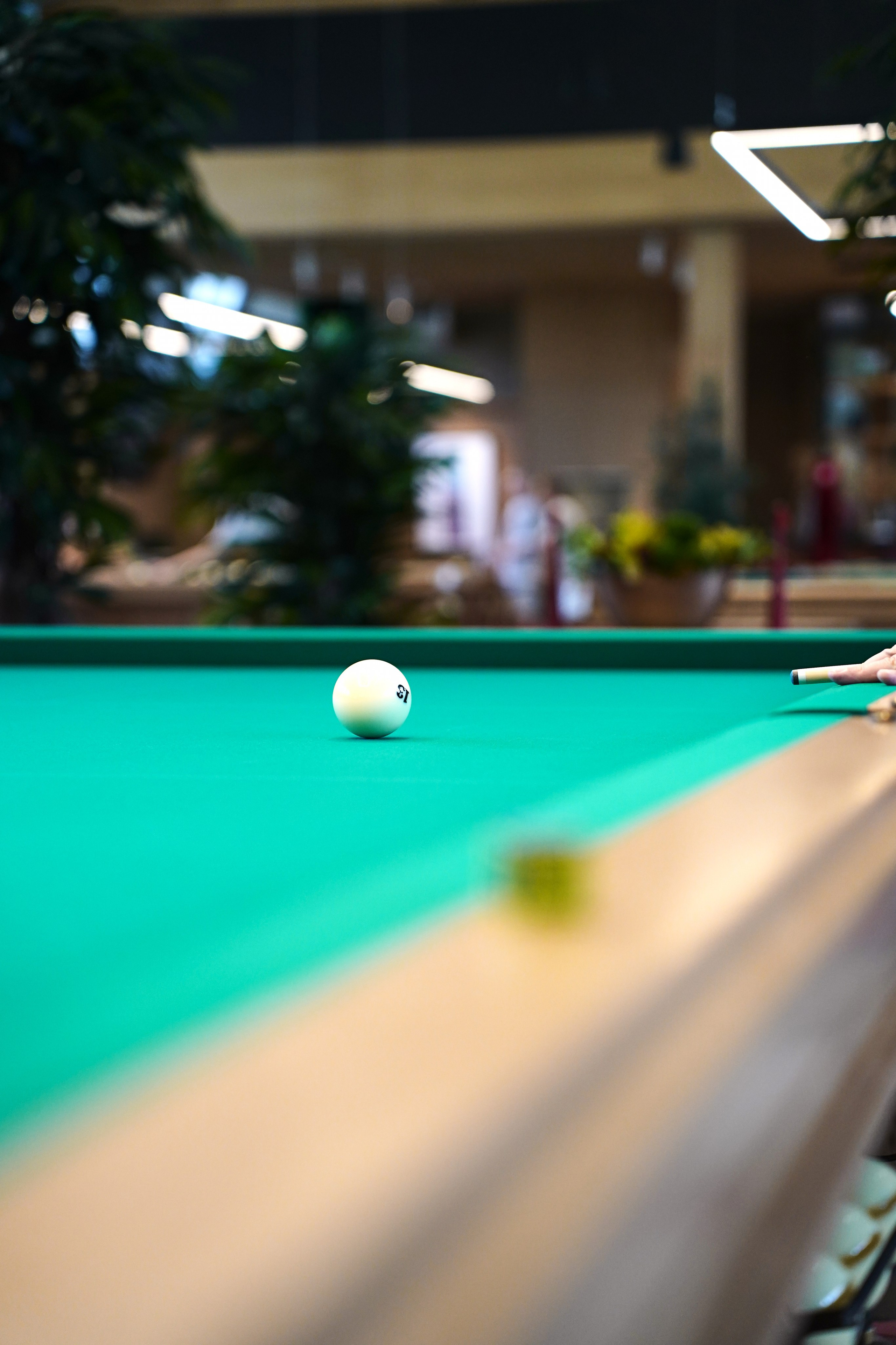 Бильярд Родина. Фотограф