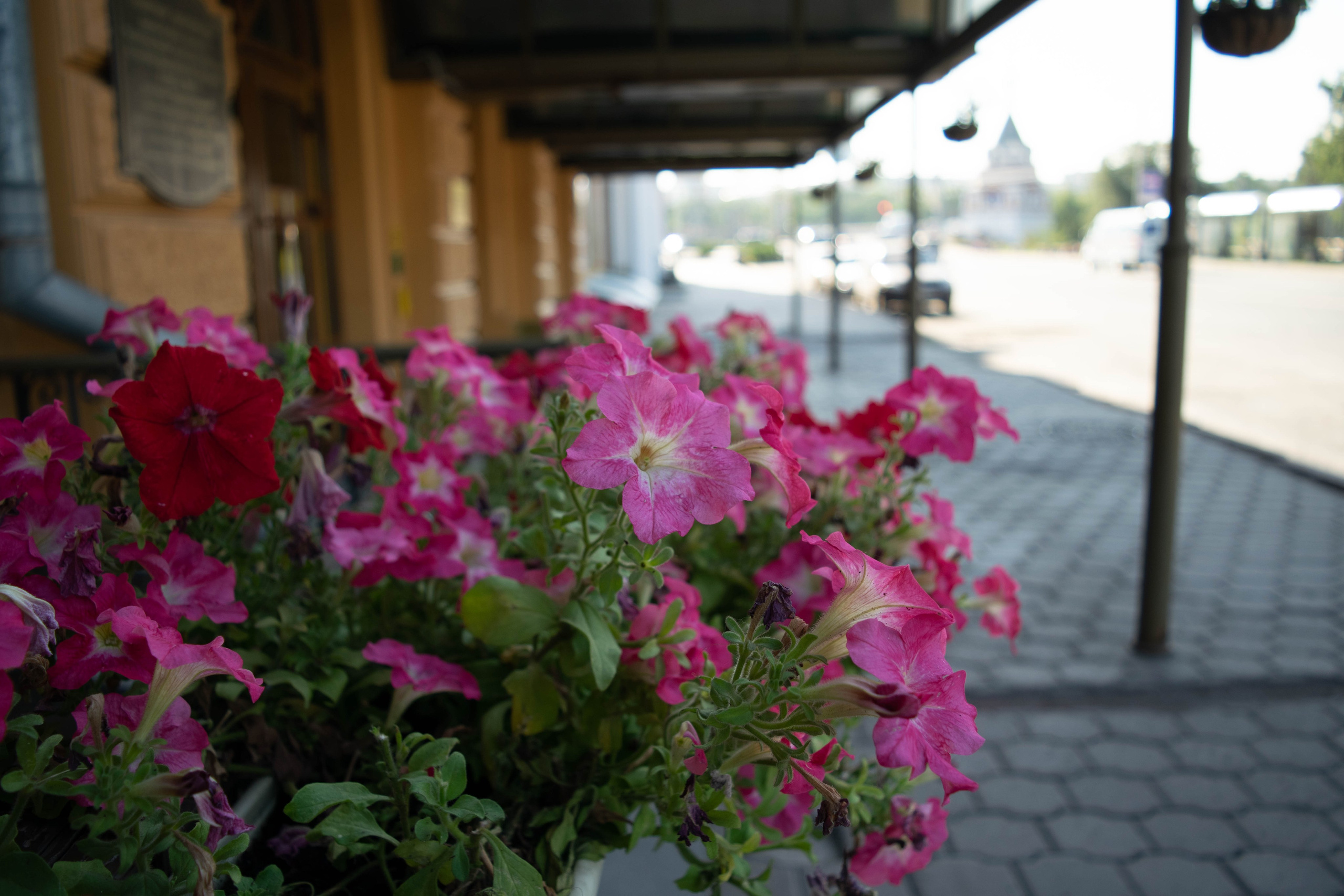 Природа. Фотограф в городе Омске Константин Зоткин