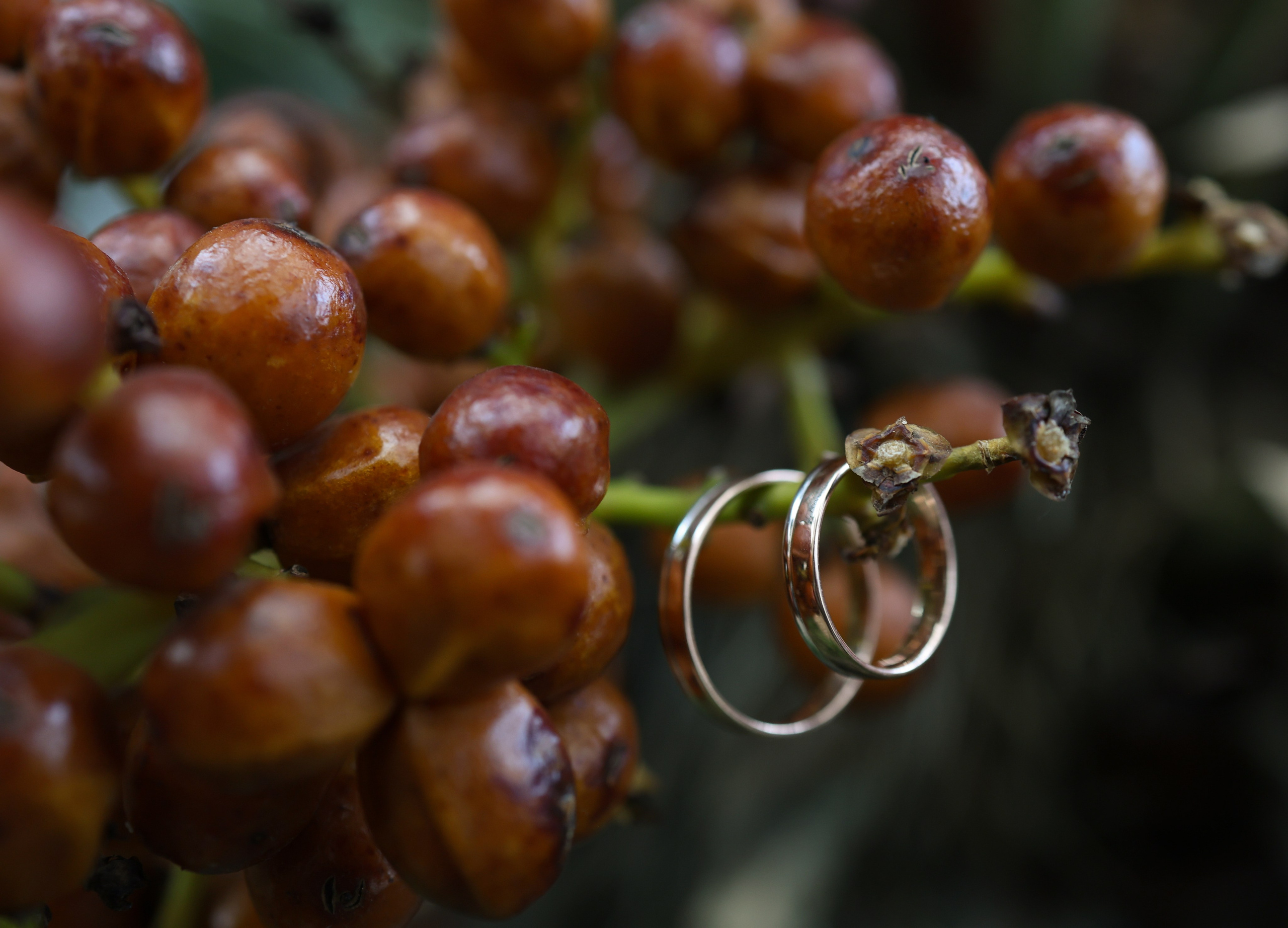 Алексей и Ксения. Фотограф и видеограф в Москве Полина Абраменкова