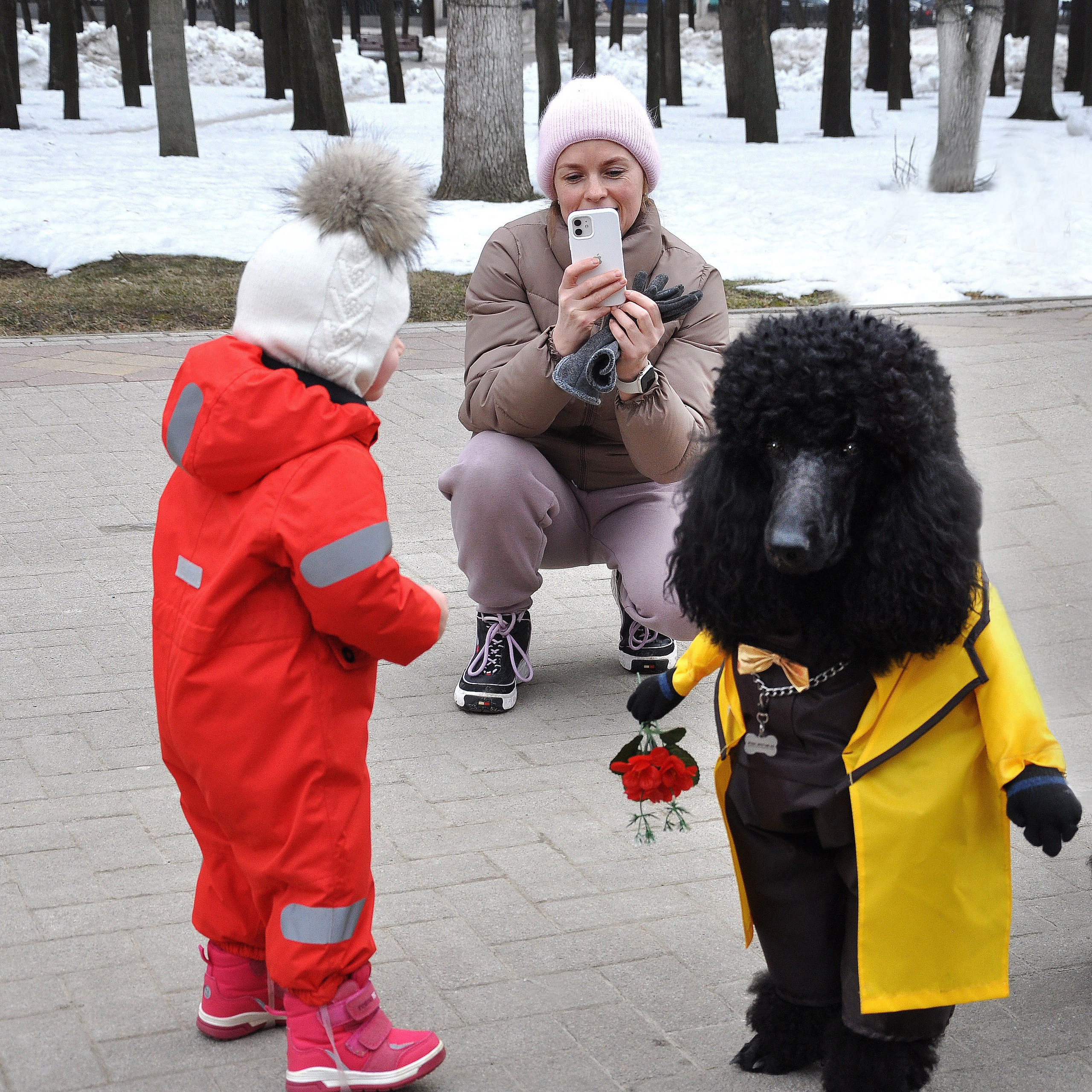 Праздник с пуделем. Фотостудия Портрет Свадебный и семейный фотограф в Рязани