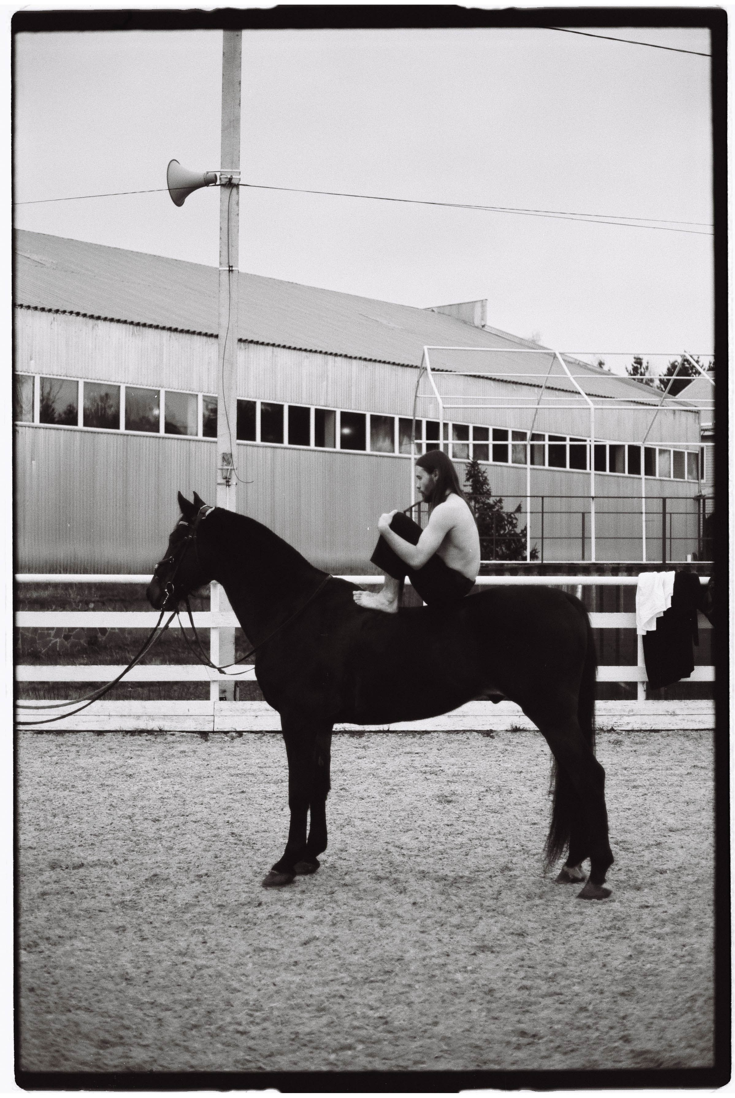 VLADIMIR. MARK DOROHOV