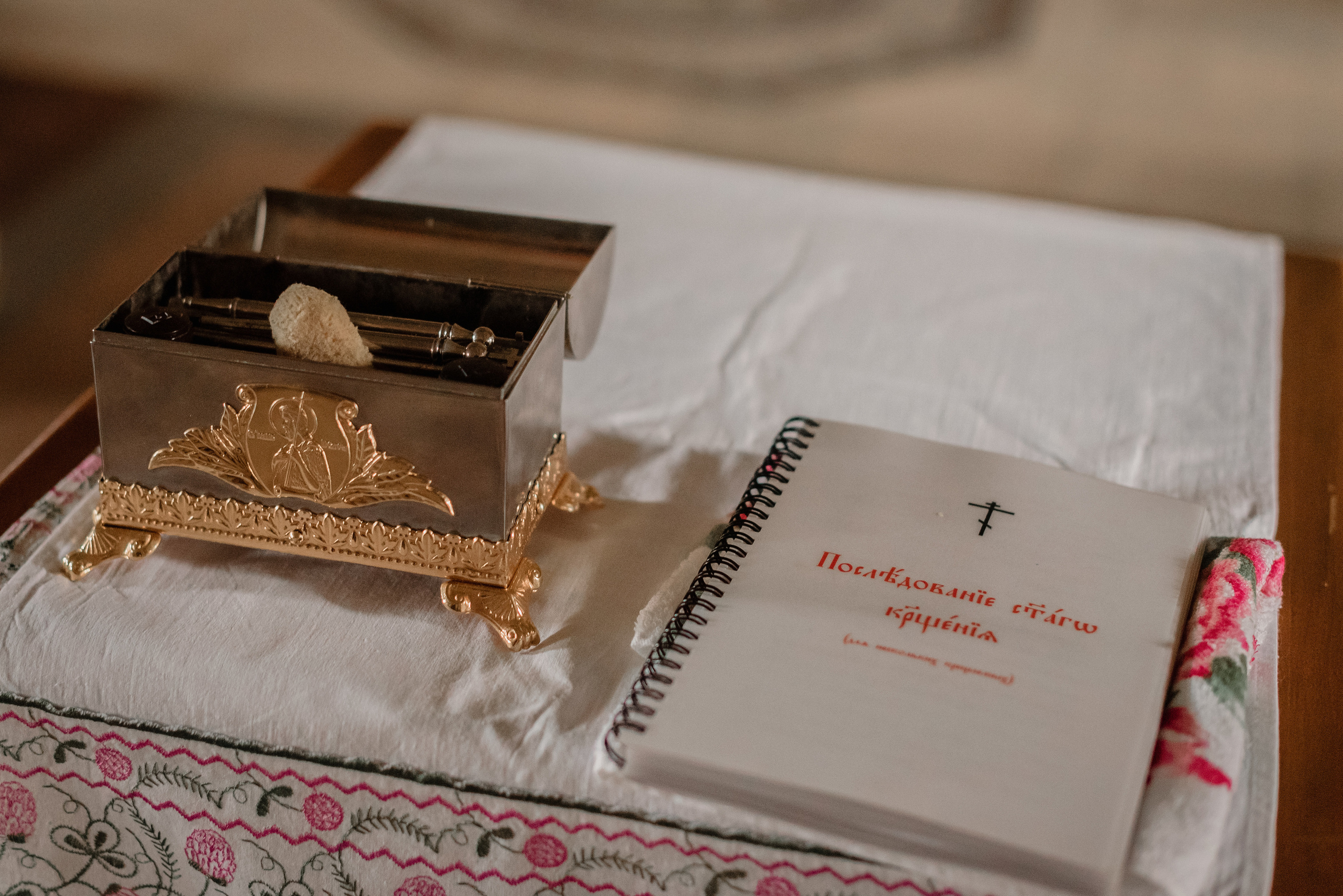 Церковь Спаса Преображения на Яру. Фотограф Рязань. Дарья Дмитриева