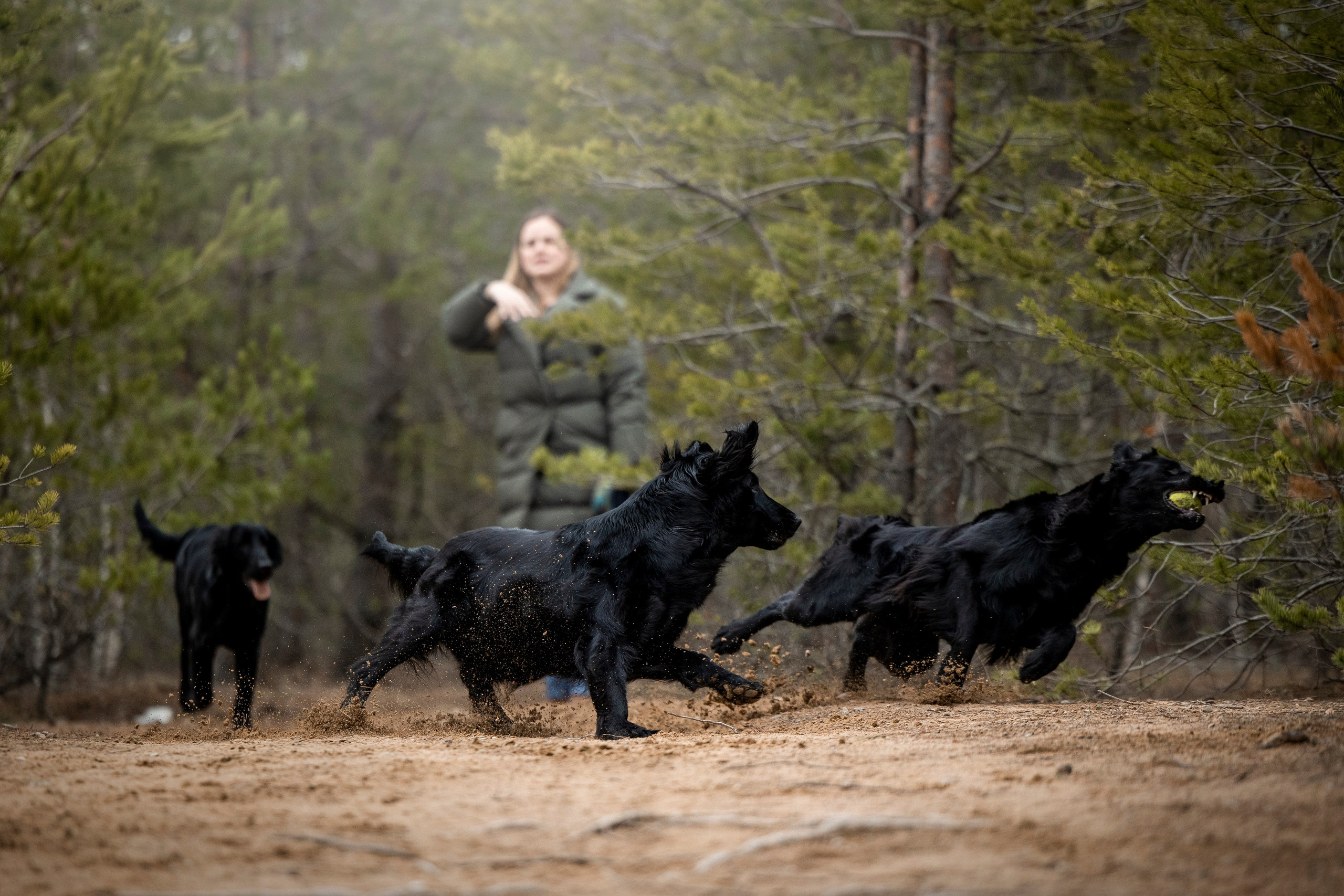 Ора, Ева, Рози и их семья. Фотограф — Анималист | Санкт-Петербург
