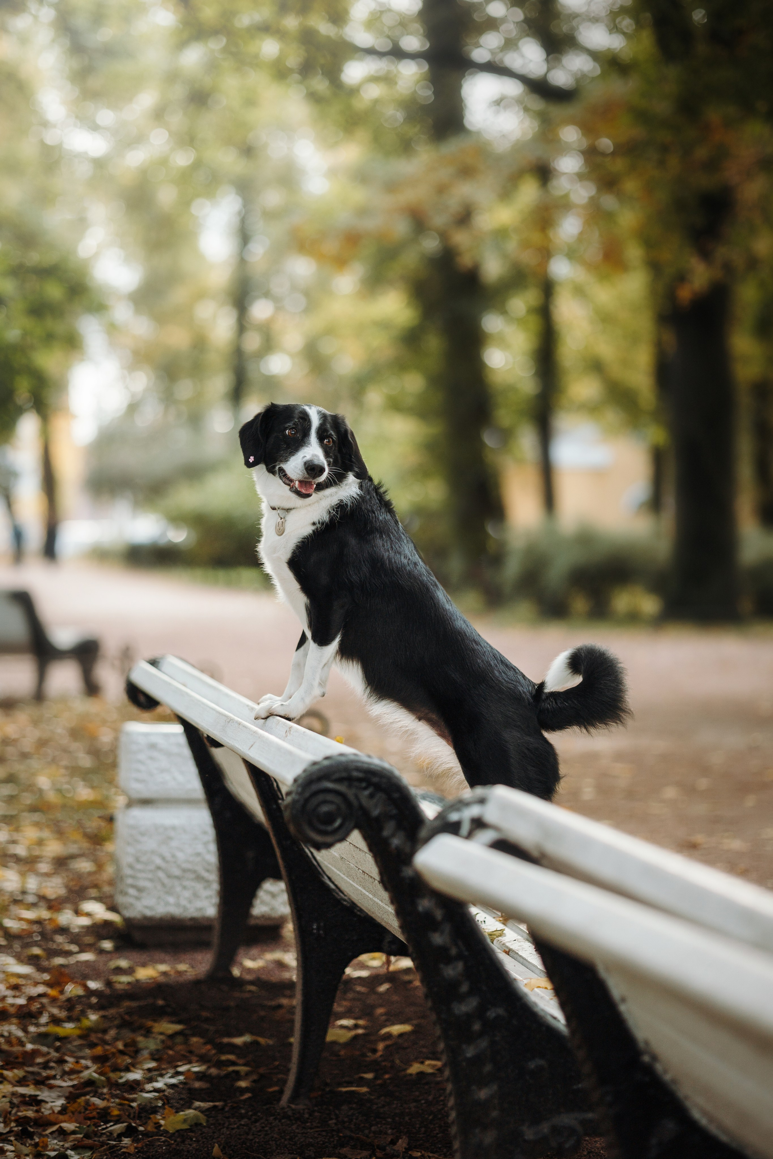 Мишель и ее семья. Фотограф — Анималист | Санкт-Петербург