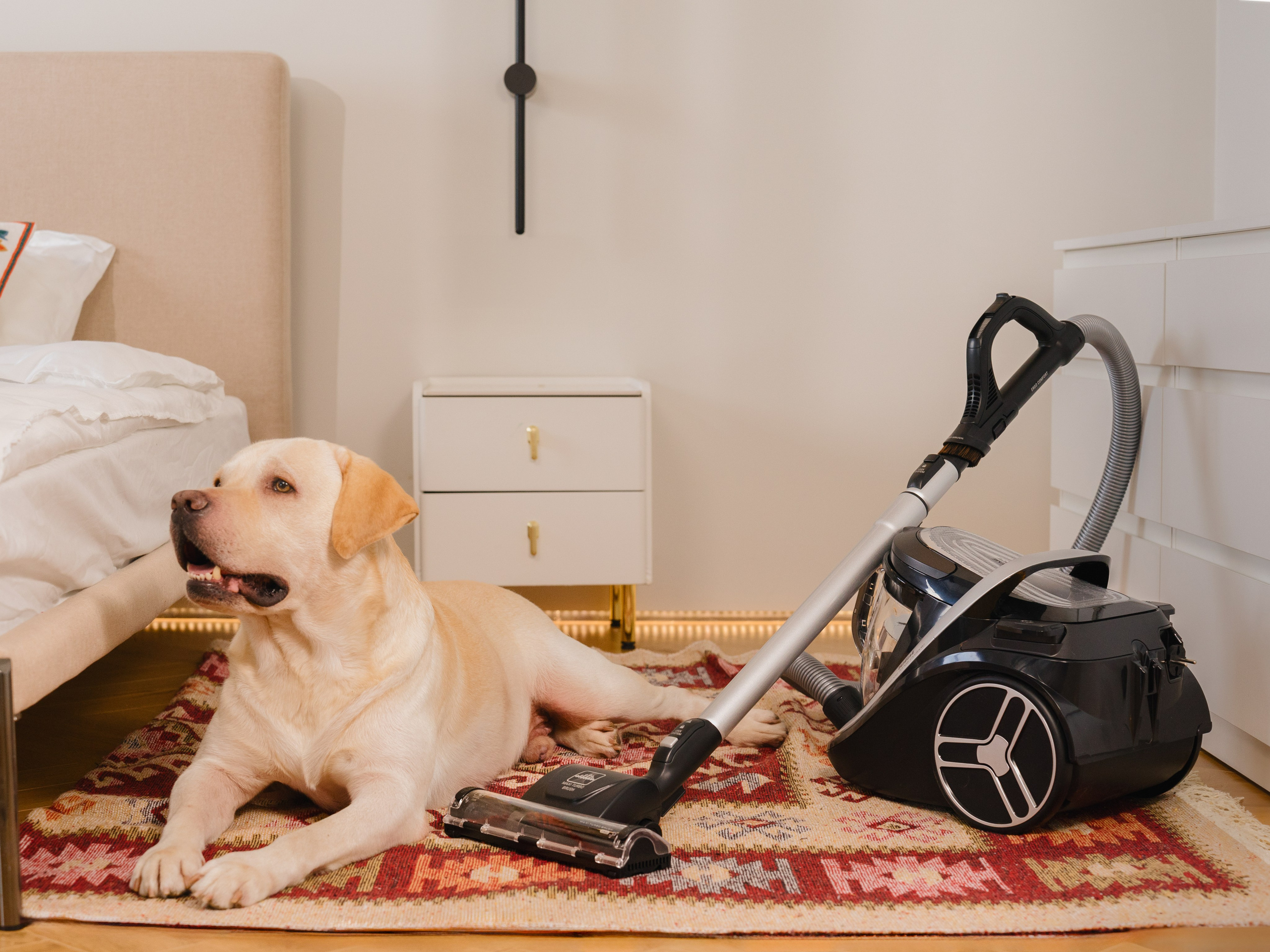 Tefal. Главная