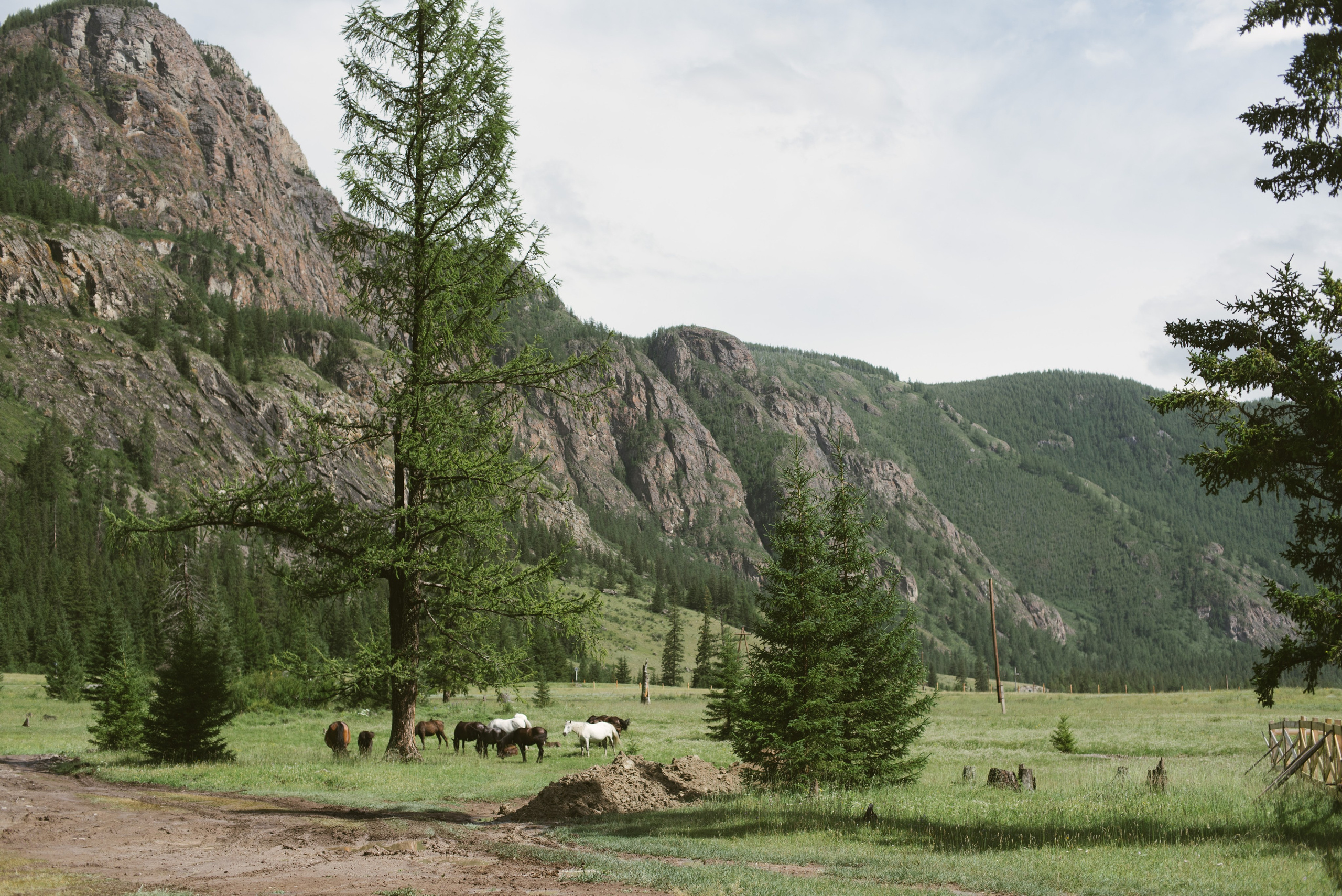 Алтай 2022. Главная