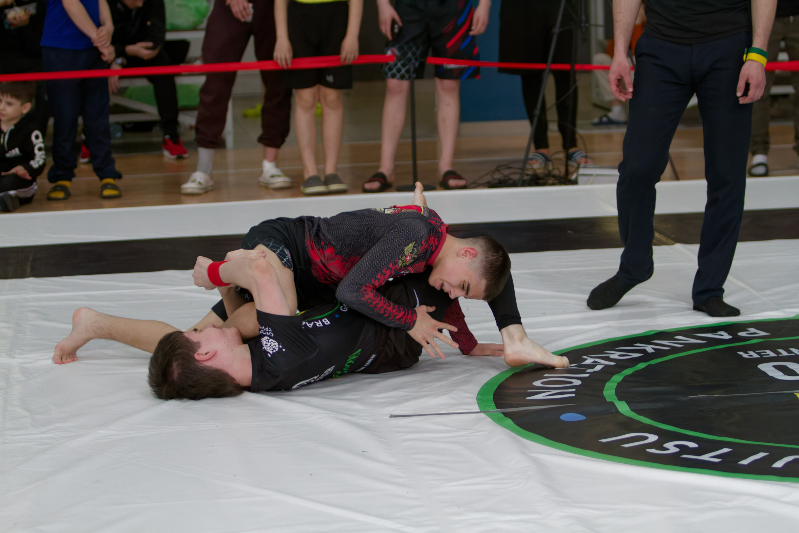 Борьба. Джиу-джитсу 26.04.2025. Репортажный и спортивный фотограф в г. Пермь Зильберг Павел