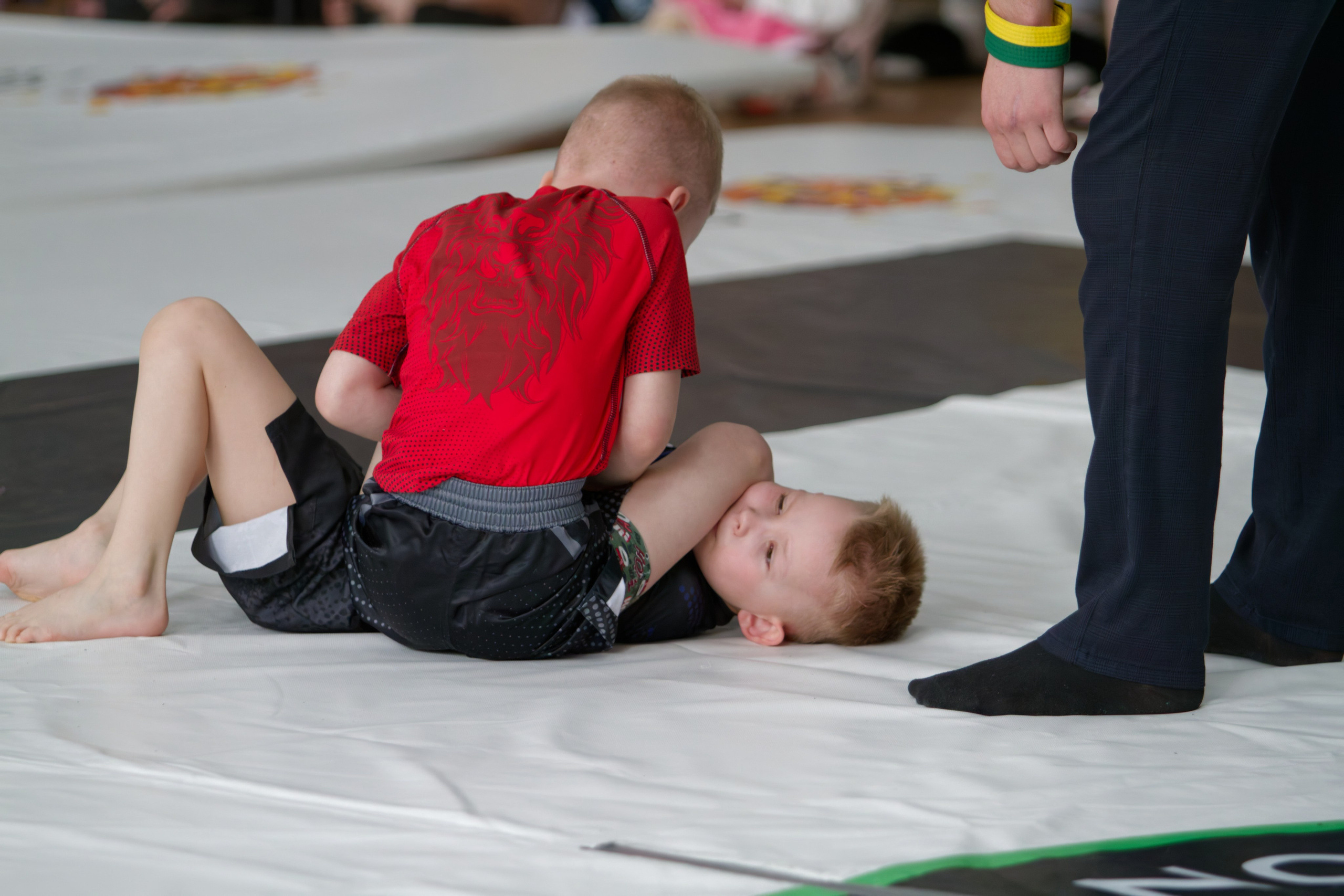 Борьба. Джиу-джитсу 26.04.2025. Репортажный и спортивный фотограф в г. Пермь Зильберг Павел