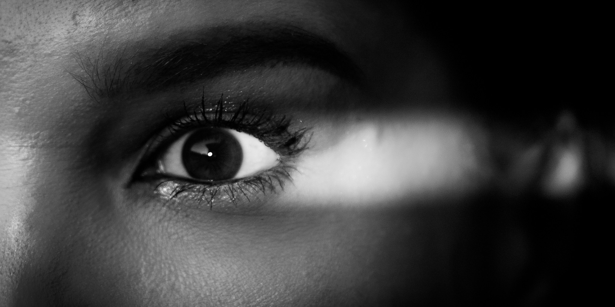 Роза. Фотограф в Москве и МО Влада Обласова