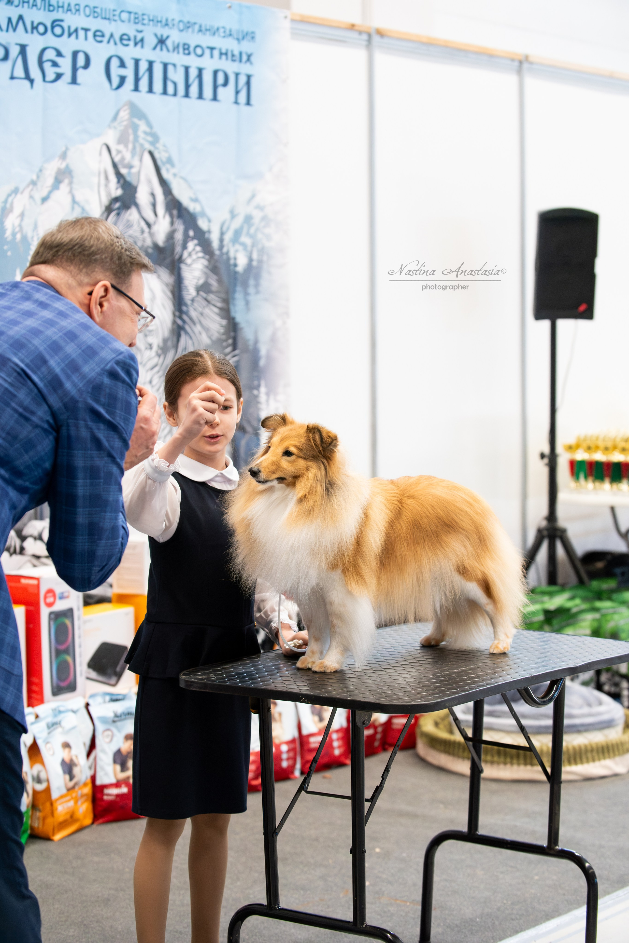 Выставки. Фотограф — Анималист