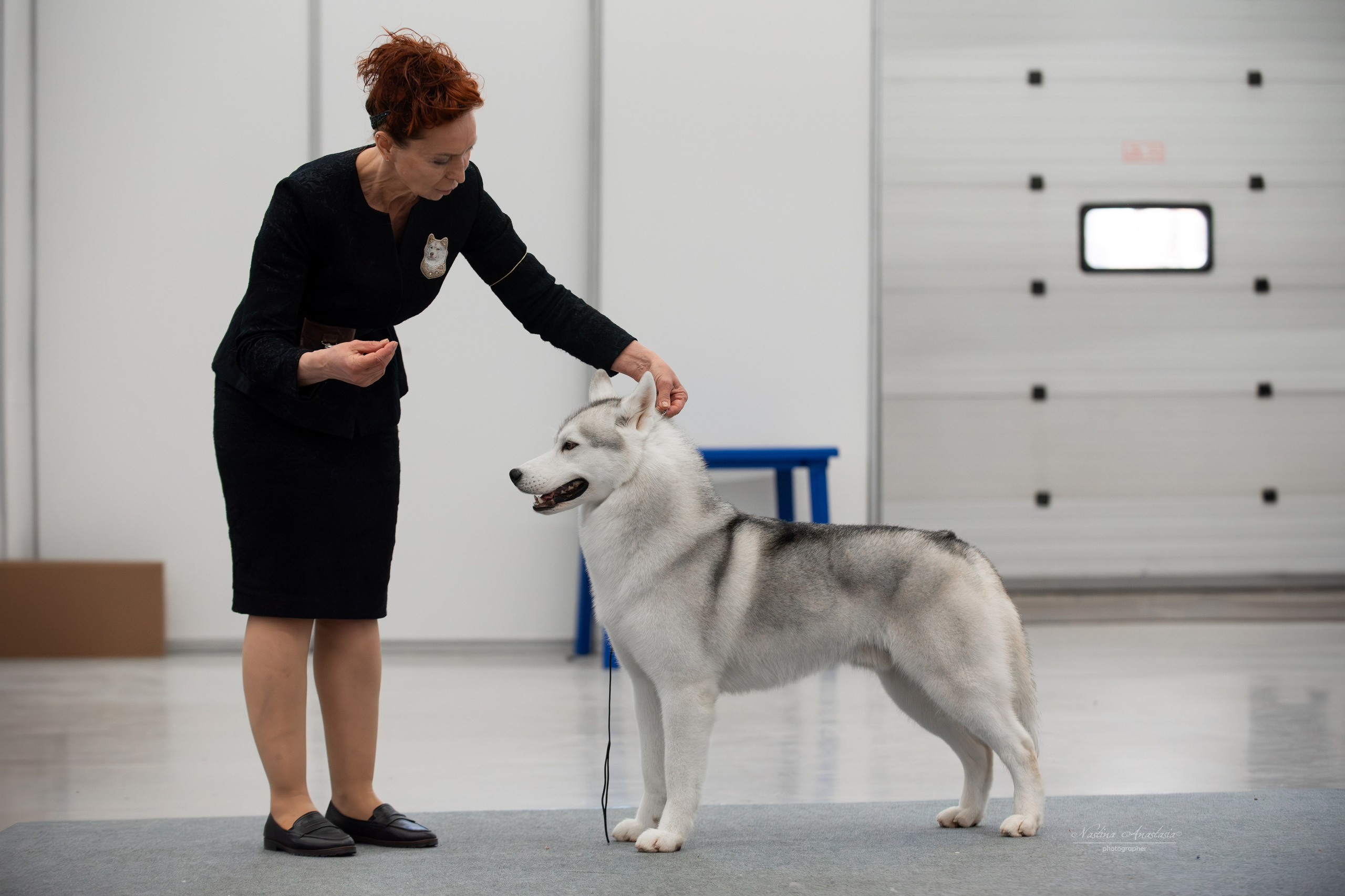 Выставки. Фотограф — Анималист