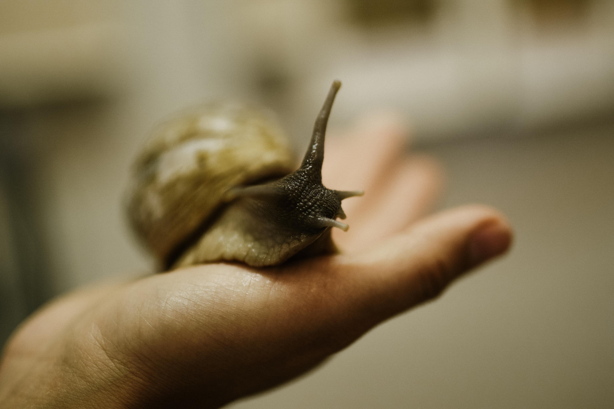 ЛИКИ НАУКИ. Стрит-фотография, полная абсурда, идиотизма и красоты