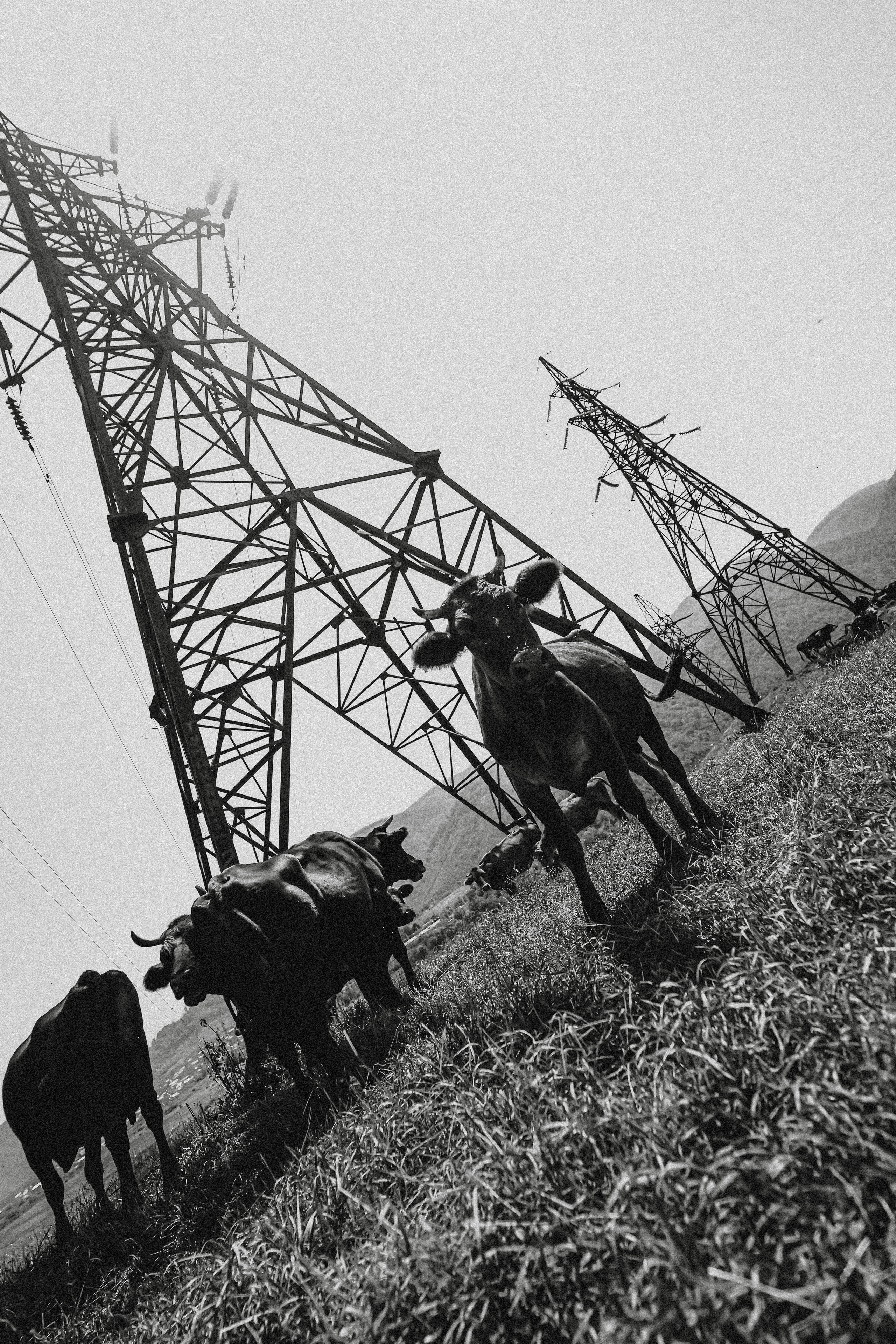 ЕРЕВАН. Стрит-фотография, полная абсурда, идиотизма и красоты
