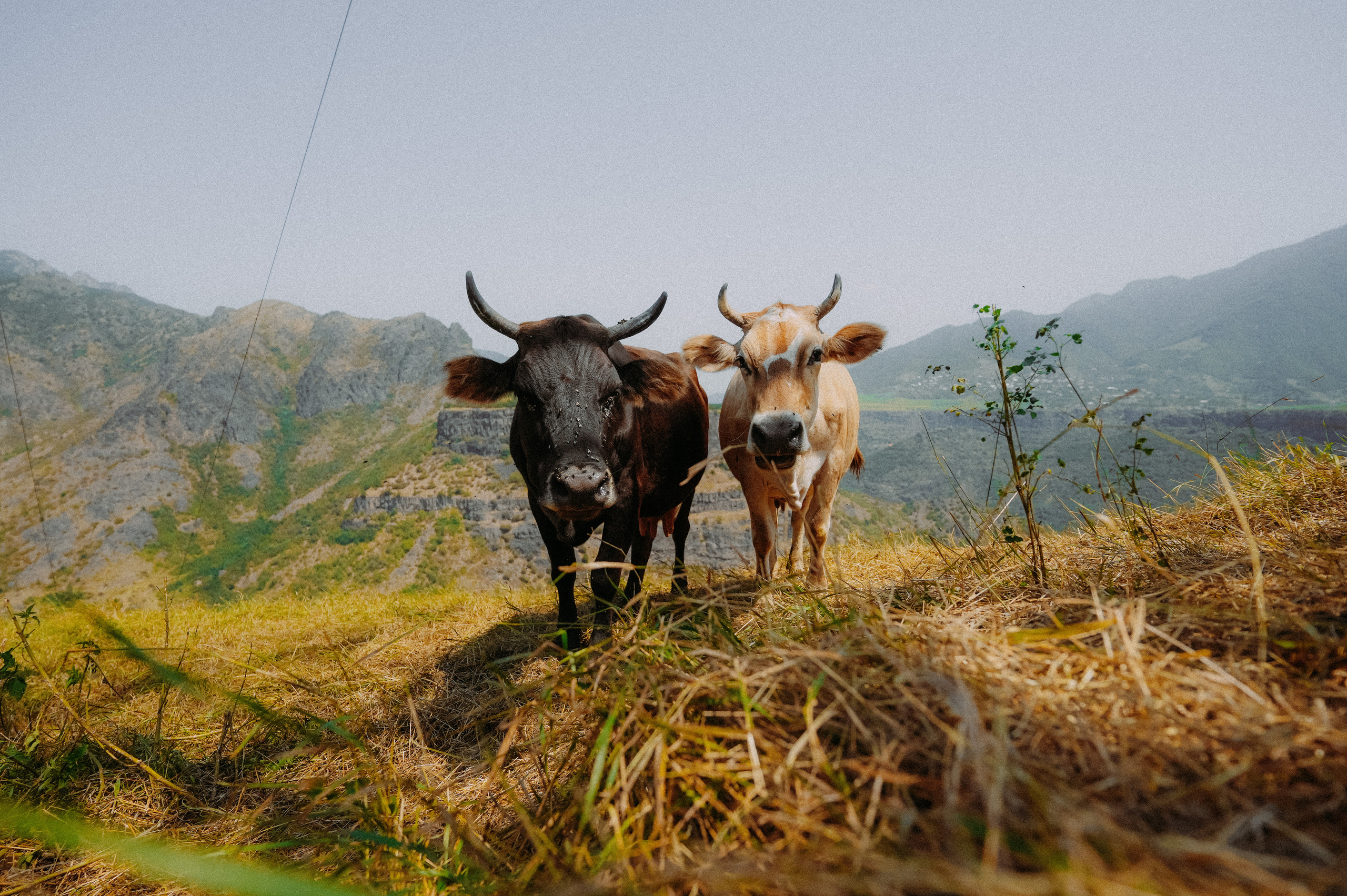 ЕРЕВАН. Стрит-фотография, полная абсурда, идиотизма и красоты