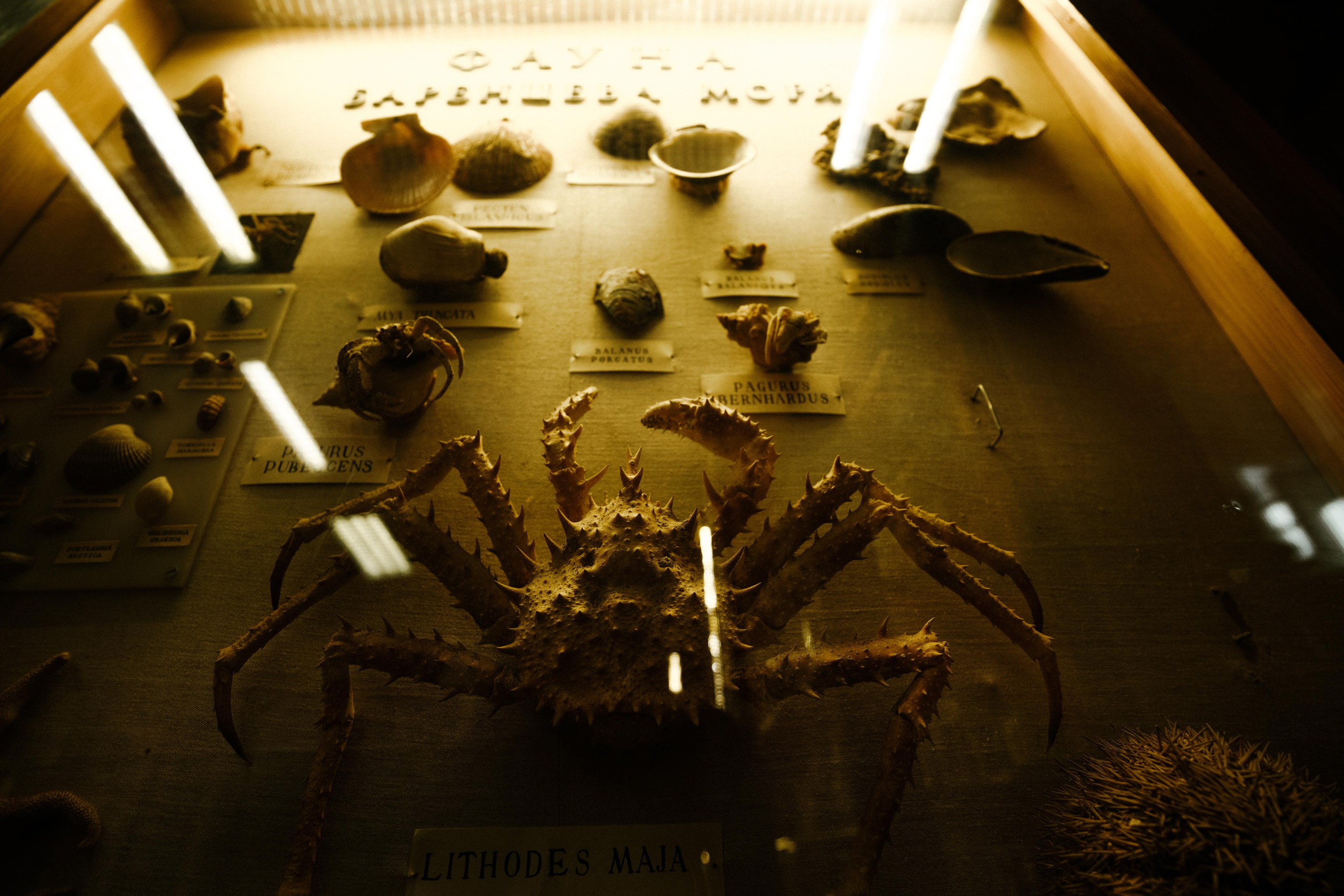 ЛИКИ НАУКИ. Стрит-фотография, полная абсурда, идиотизма и красоты