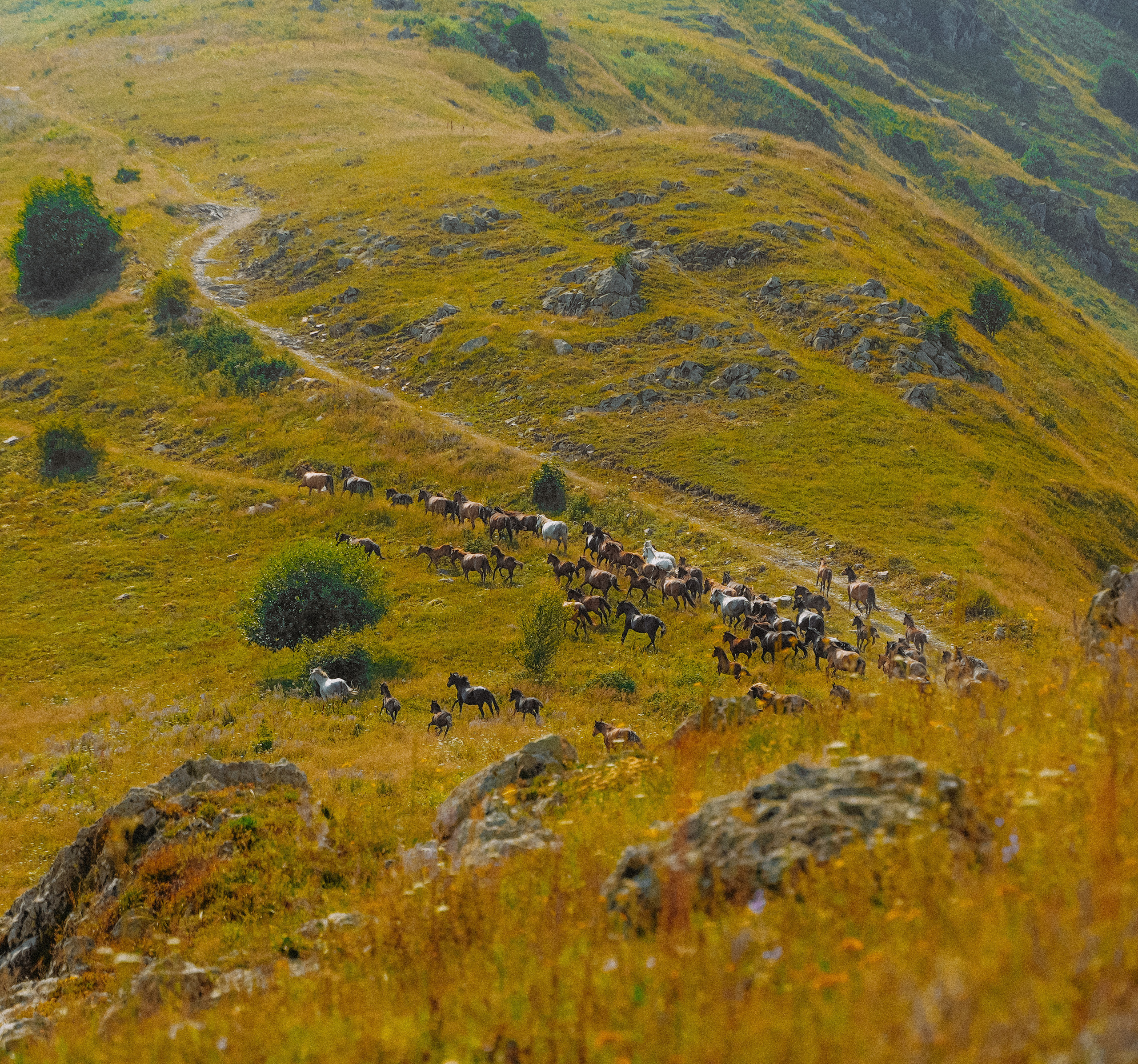 ЕРЕВАН. Стрит-фотография, полная абсурда, идиотизма и красоты