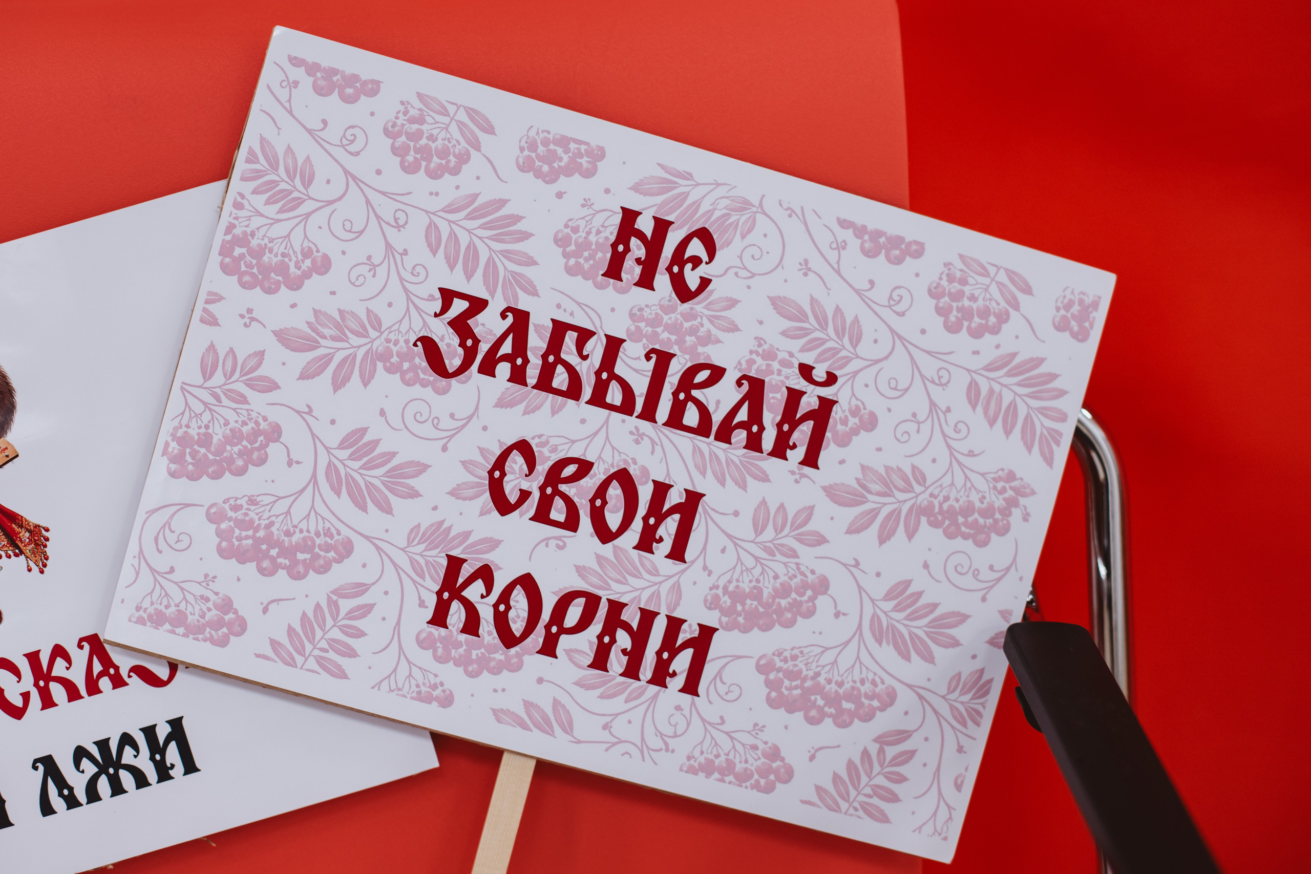Фестиваль «Будь здоров». Фотограф Михайлова Анастасия | Белгород